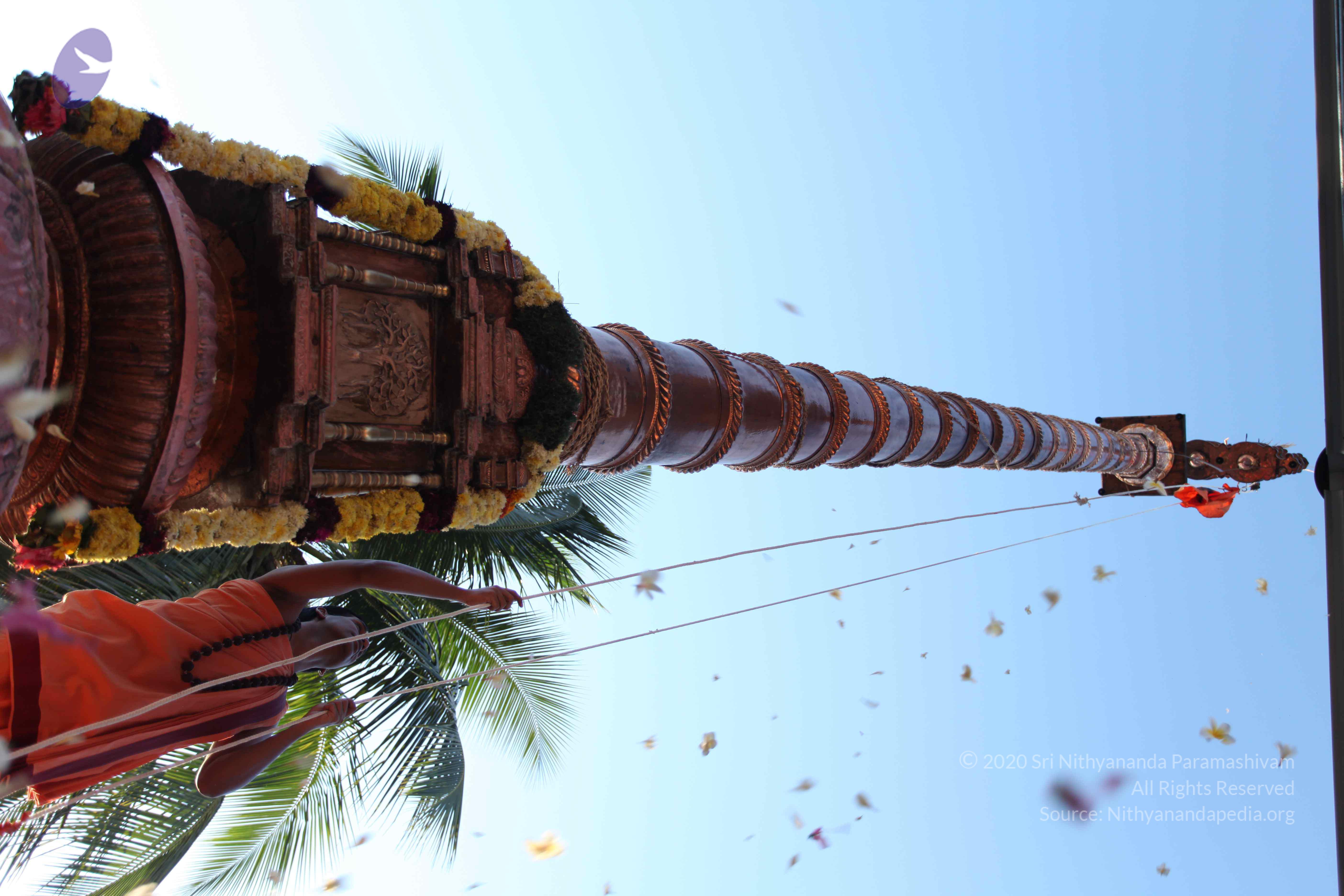 20110305_Photo_1009_IMG_7229_CMP_WM