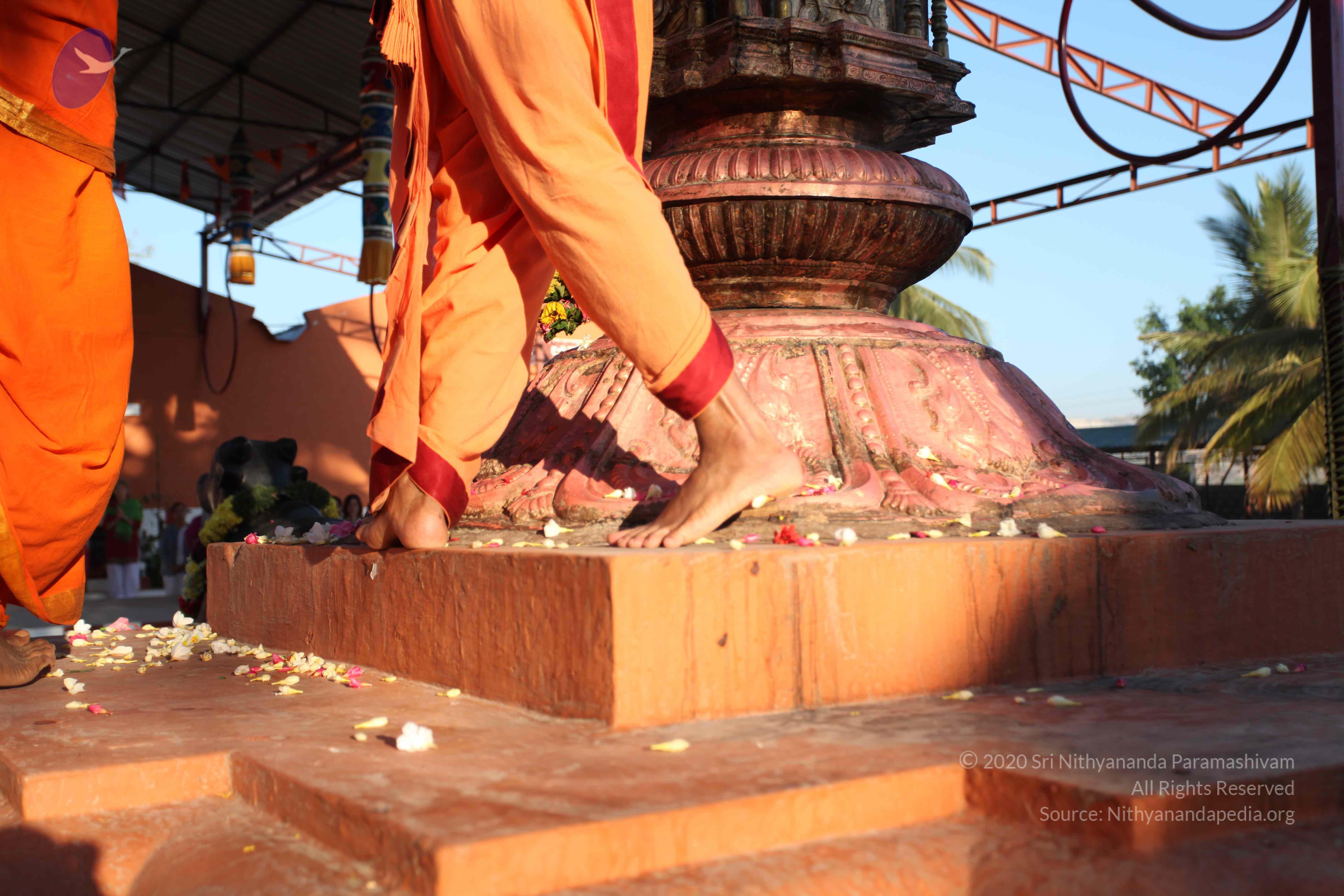 20110305_Photo_1010_IMG_7252_CMP_WM