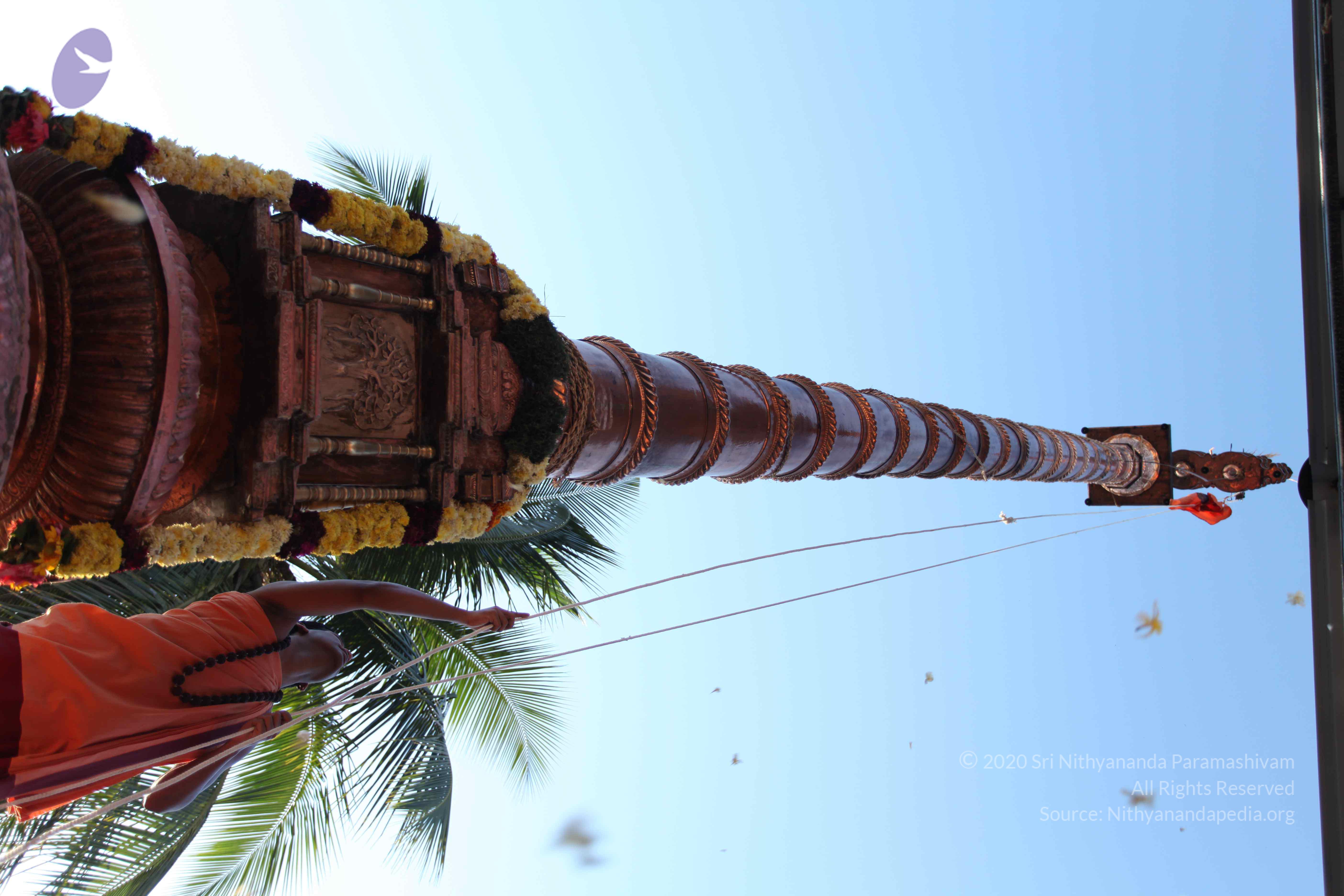 20110305_Photo_1012_IMG_7230_CMP_WM