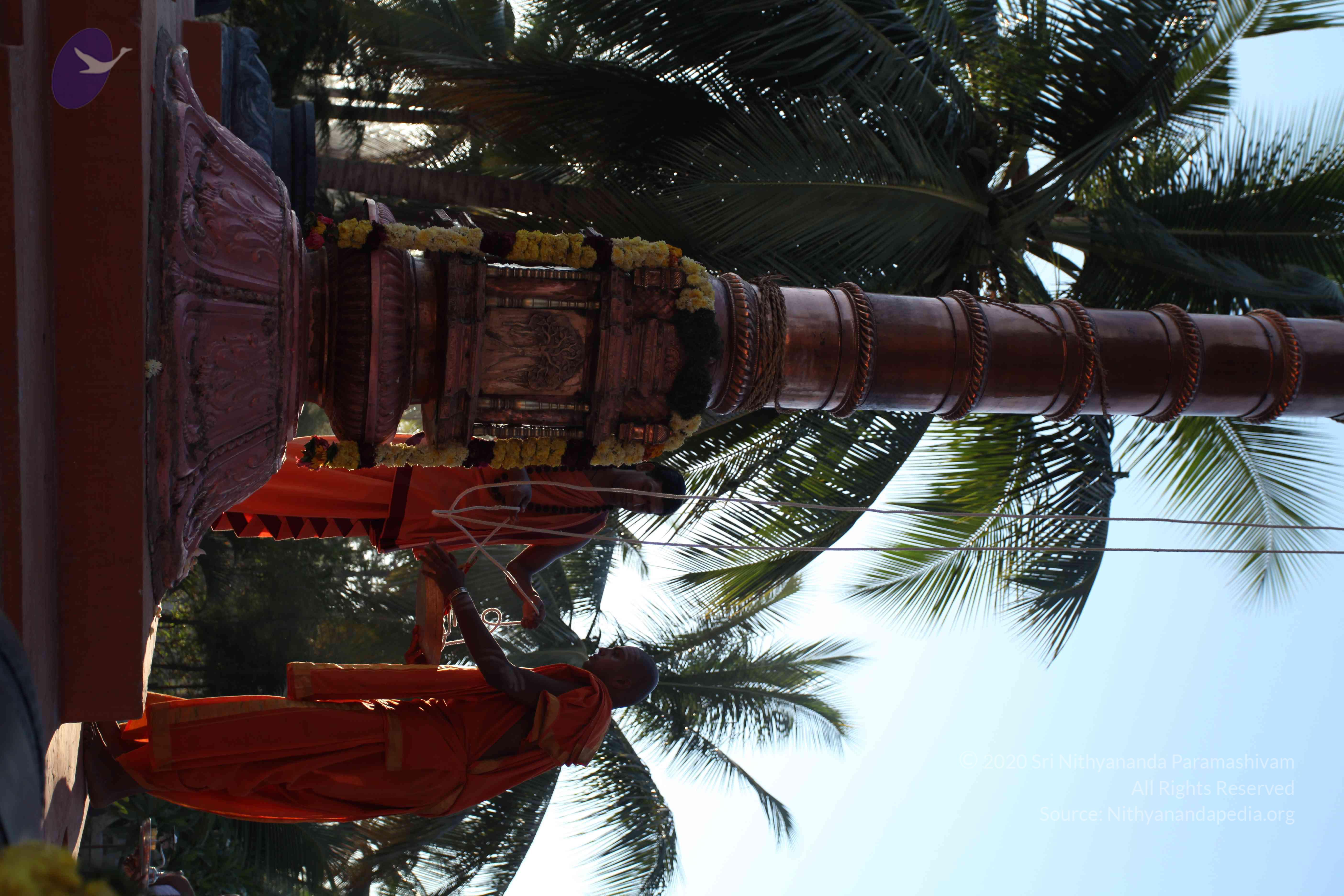 20110305_Photo_1013_IMG_7207_CMP_WM