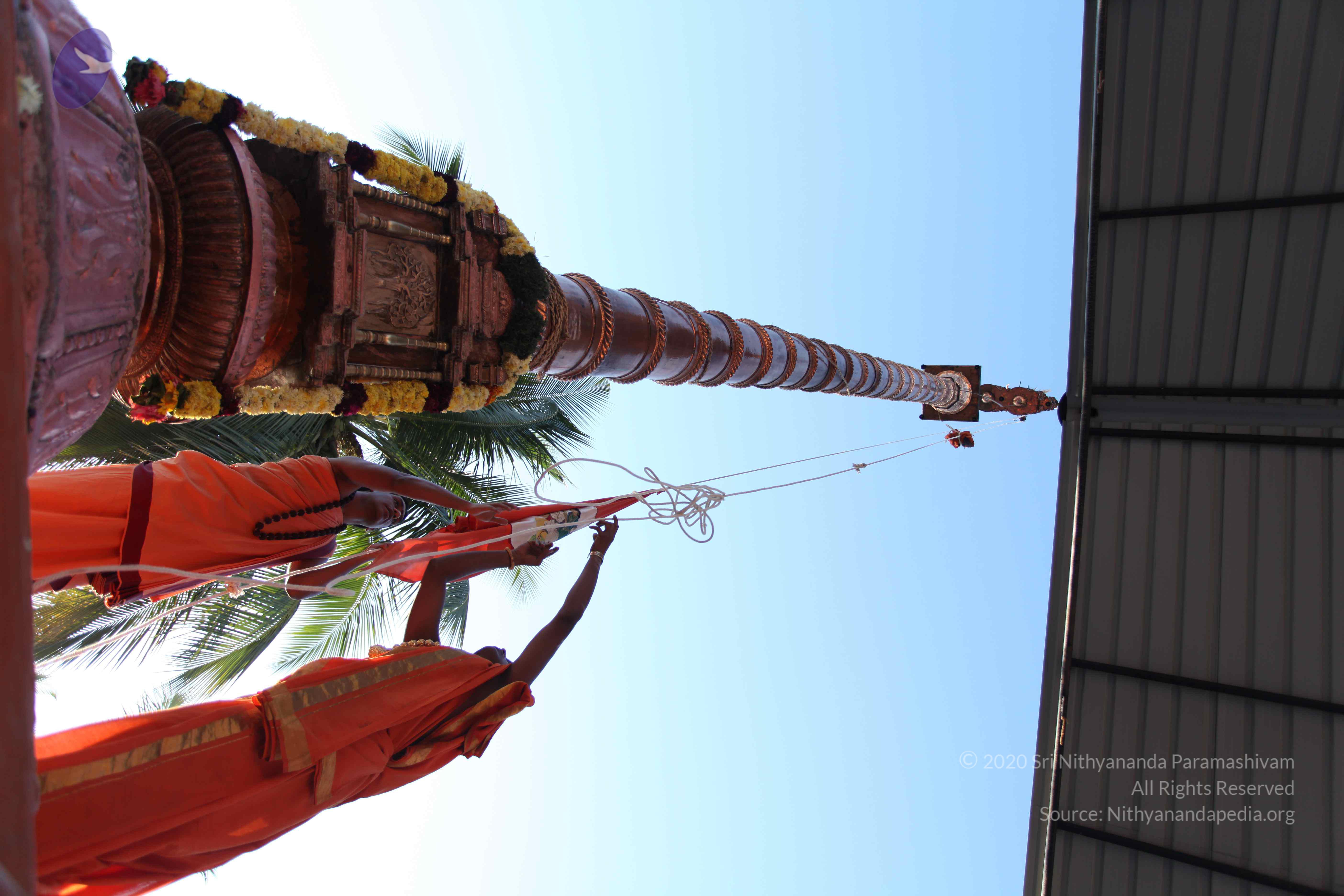 20110305_Photo_1017_IMG_7216_CMP_WM