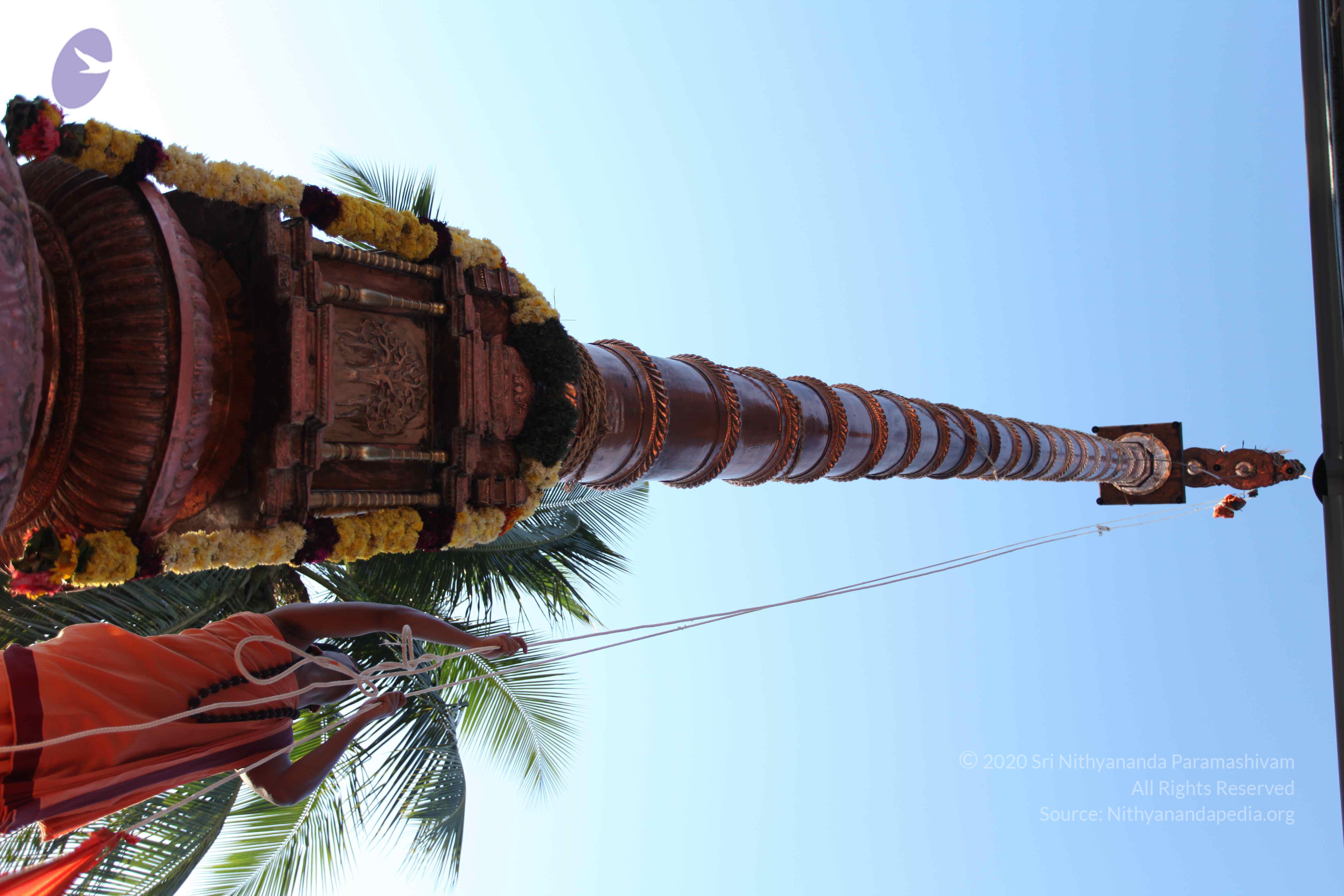 20110305_Photo_1018_IMG_7221_CMP_WM