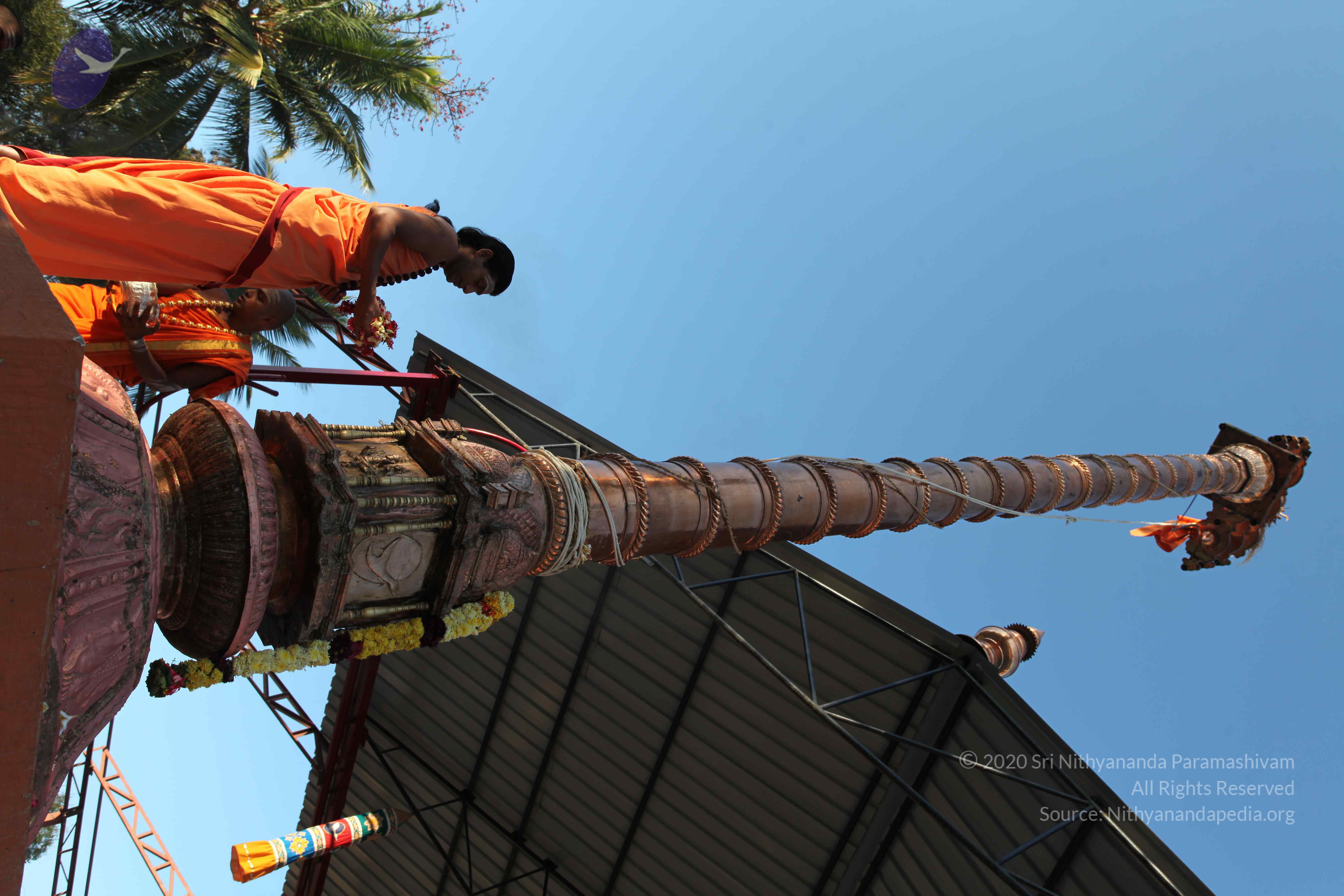 20110305_Photo_1019_IMG_7274_CMP_WM