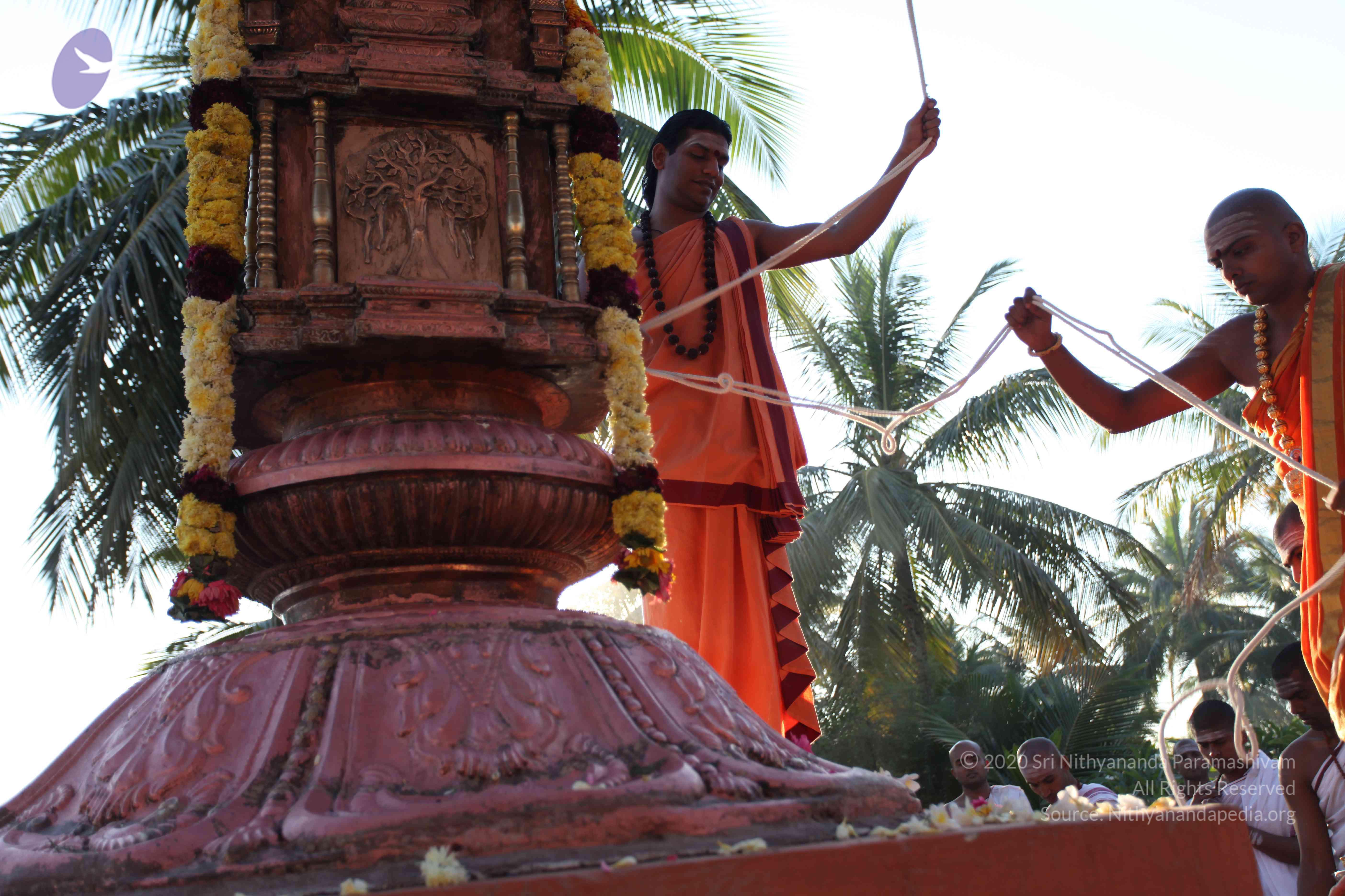 20110305_Photo_1020_IMG_7243_CMP_WM