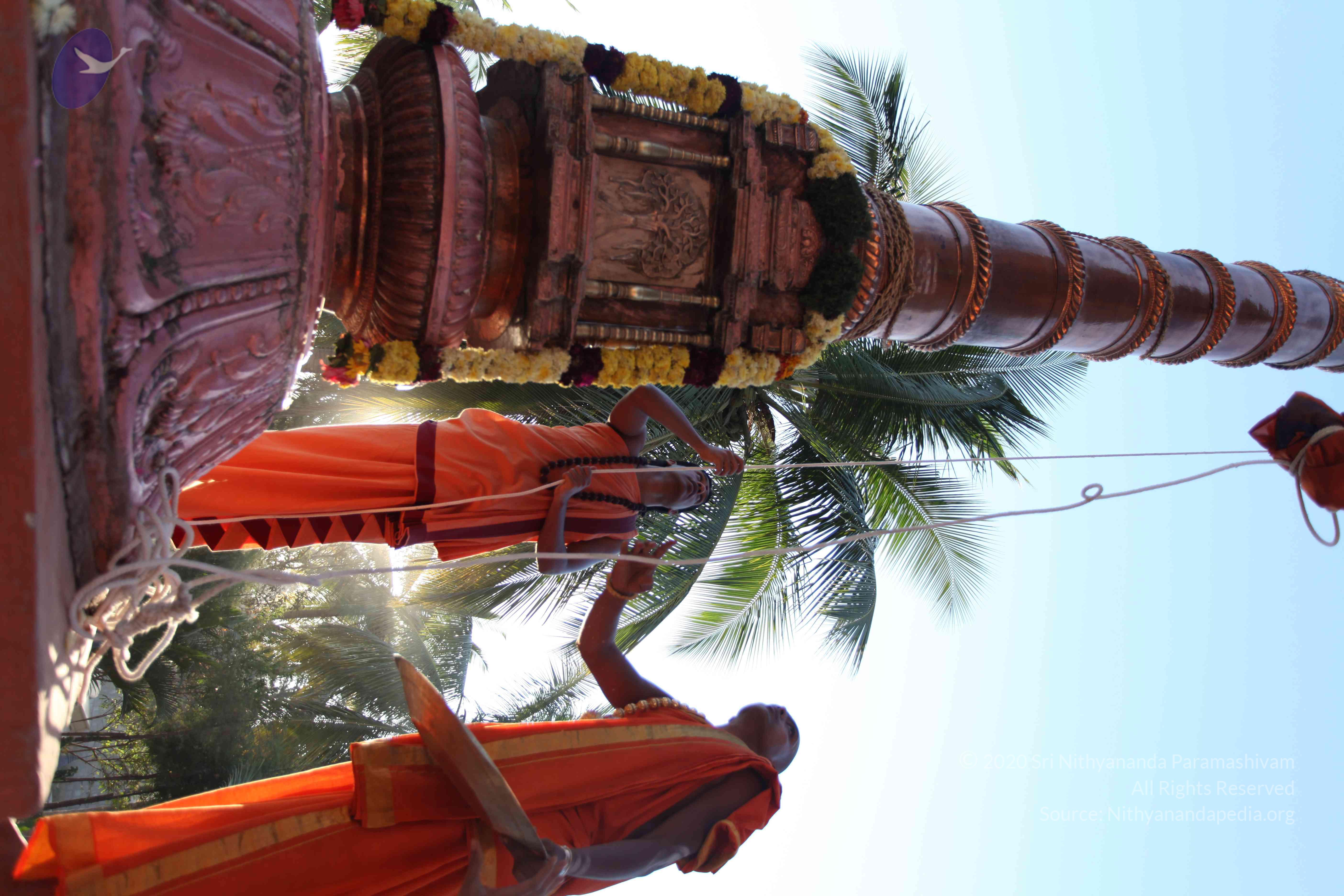 20110305_Photo_1021_IMG_7211_CMP_WM