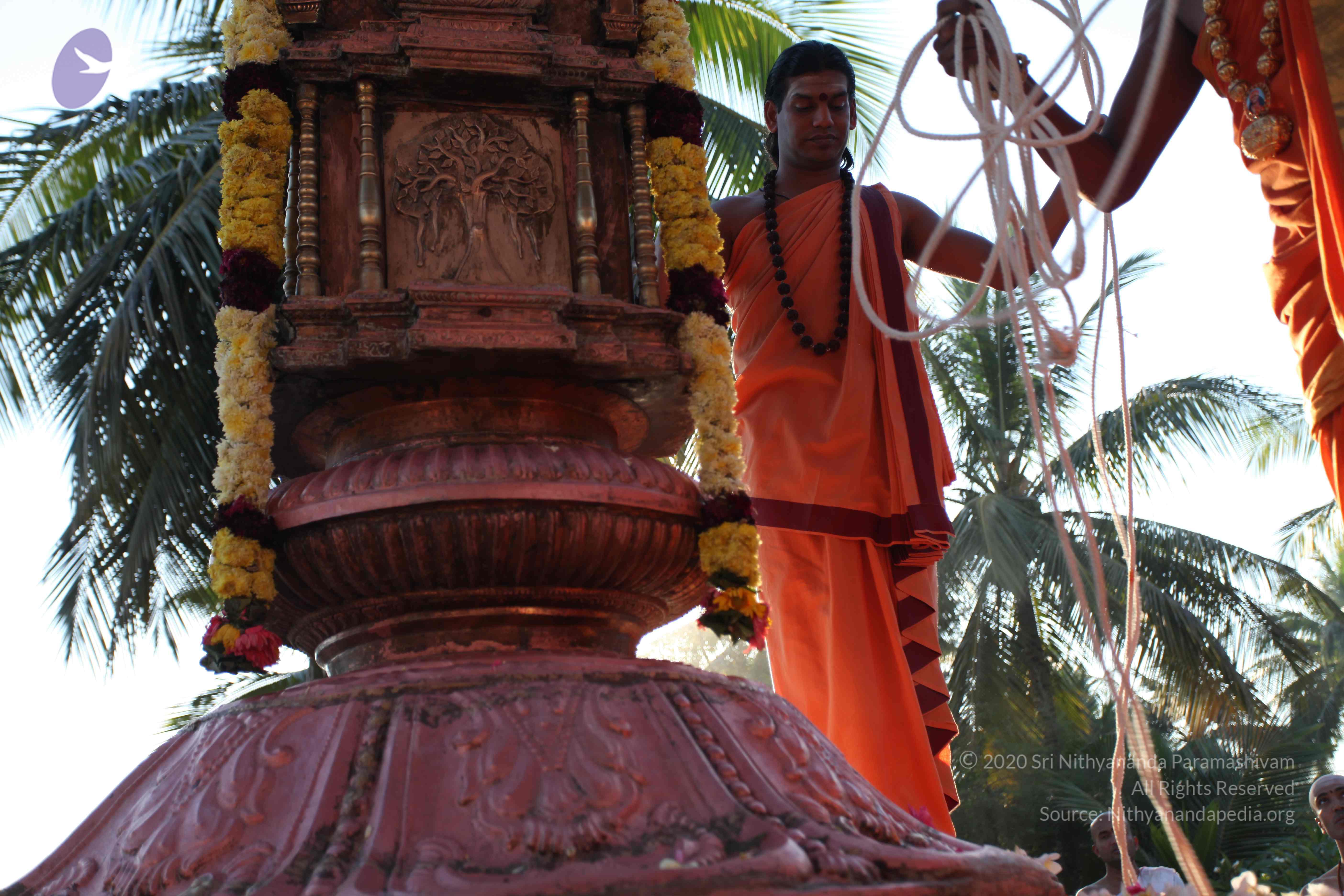 20110305_Photo_1024_IMG_7244_CMP_WM