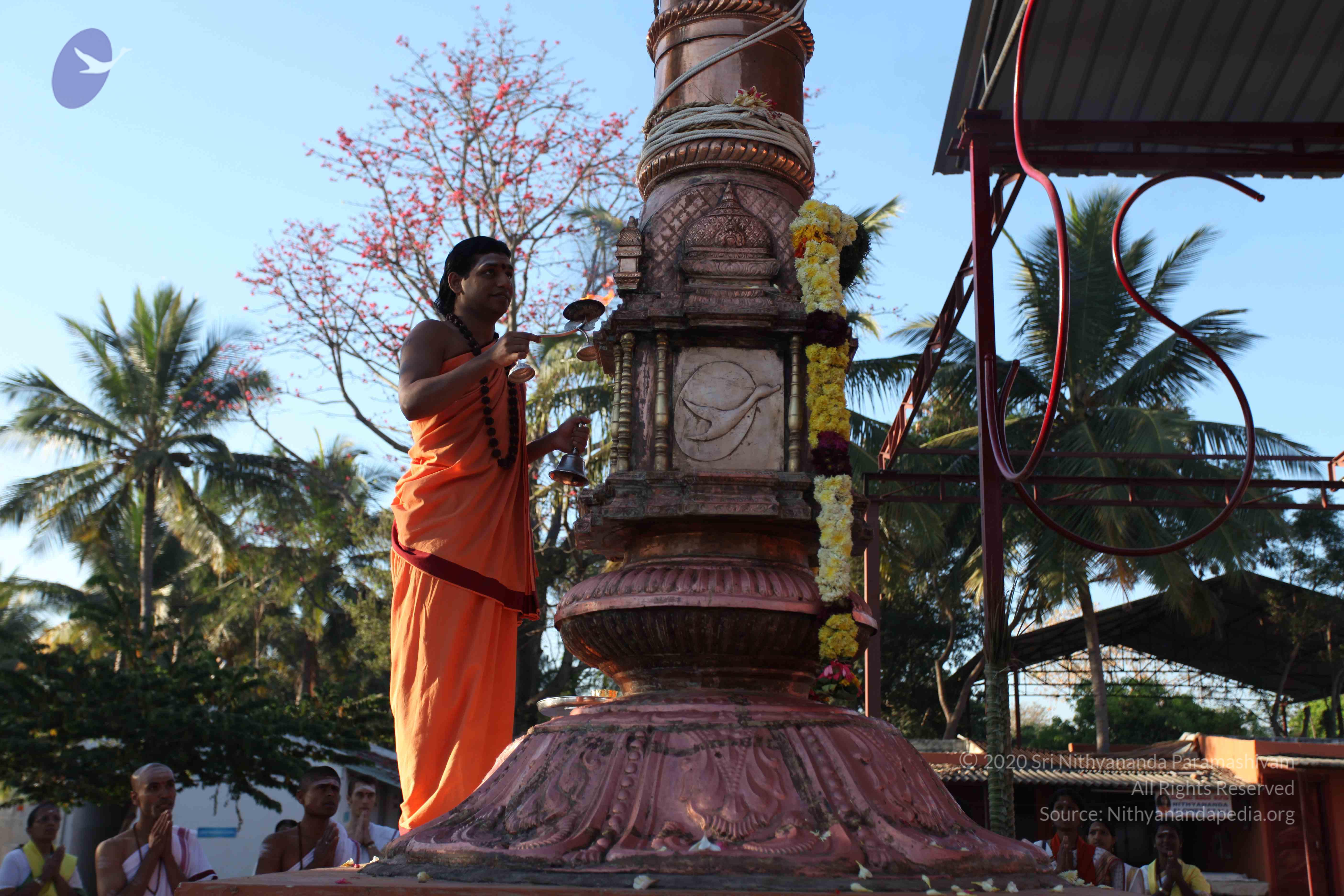 20110305_Photo_1025_IMG_7258_CMP_WM