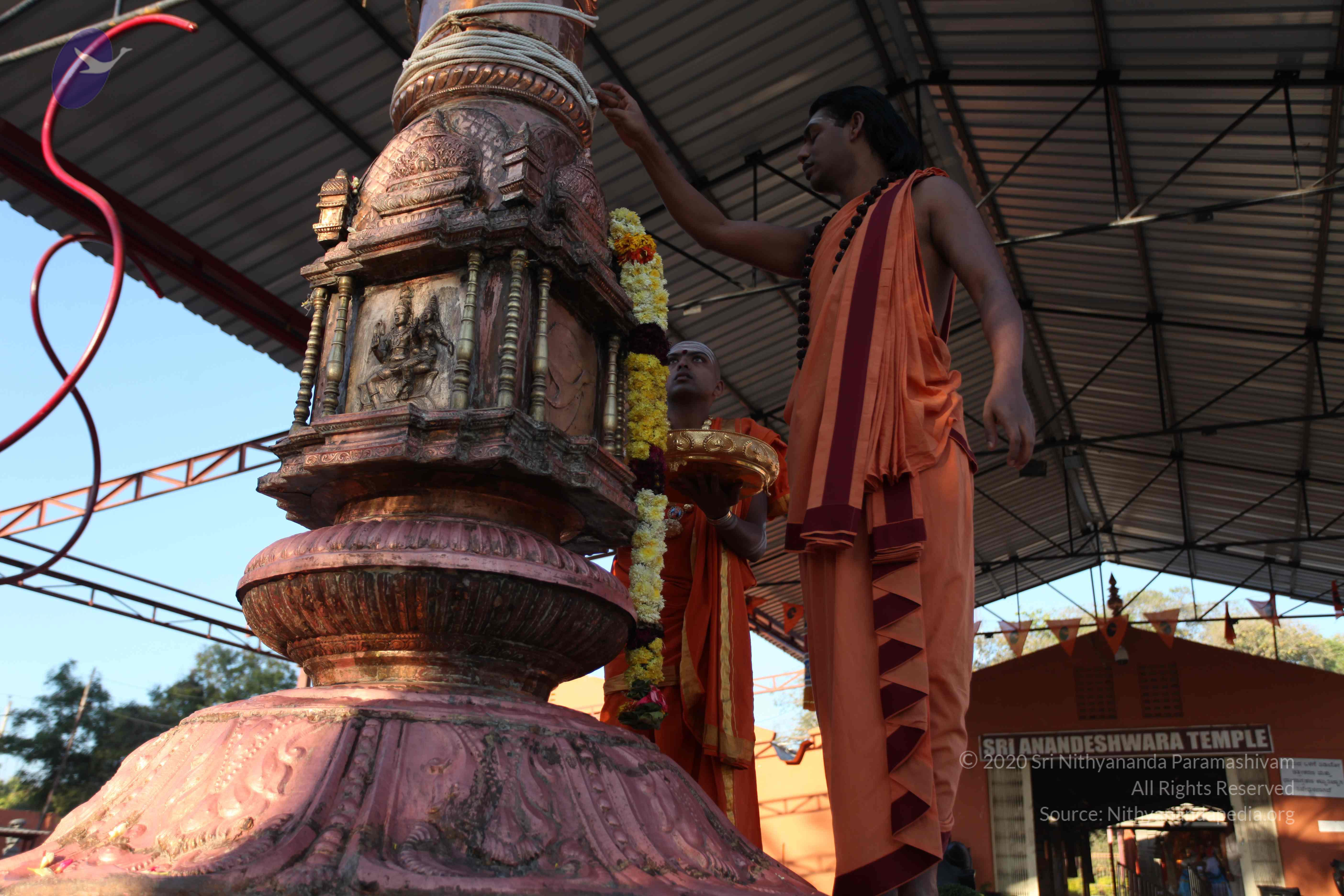 20110305_Photo_1027_IMG_7255_CMP_WM