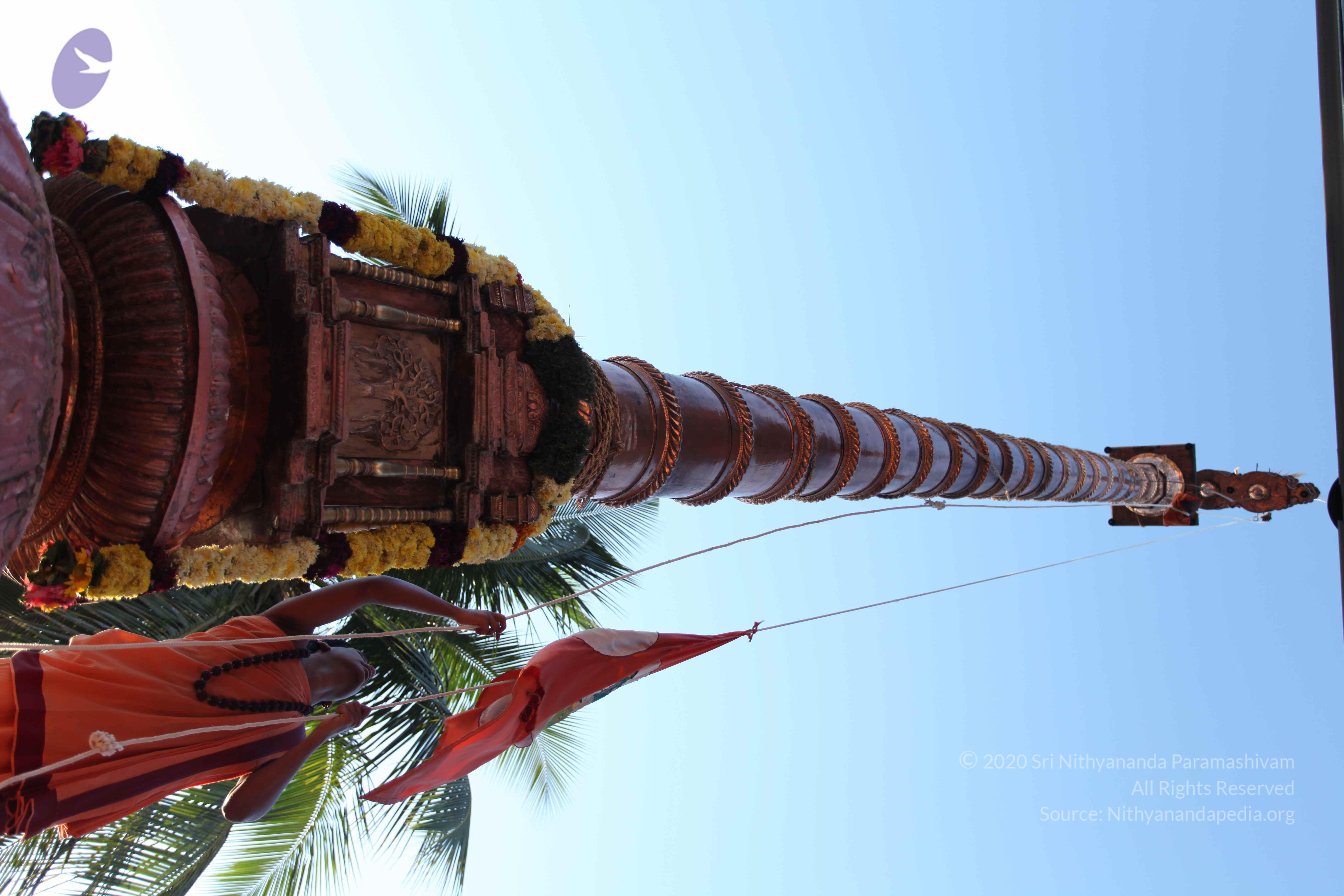 20110305_Photo_1030_IMG_7219_CMP_WM