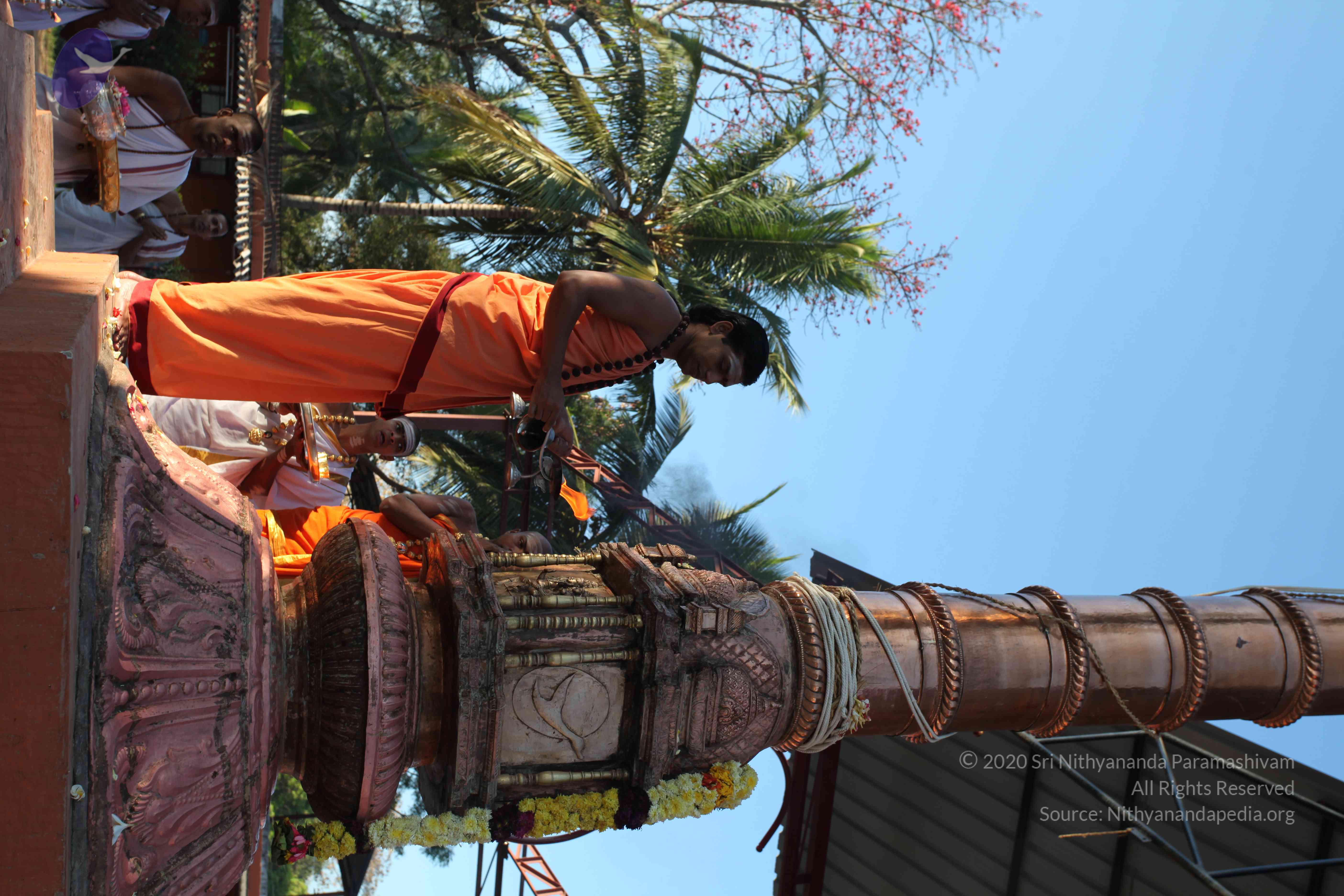 20110305_Photo_1031_IMG_7267_CMP_WM