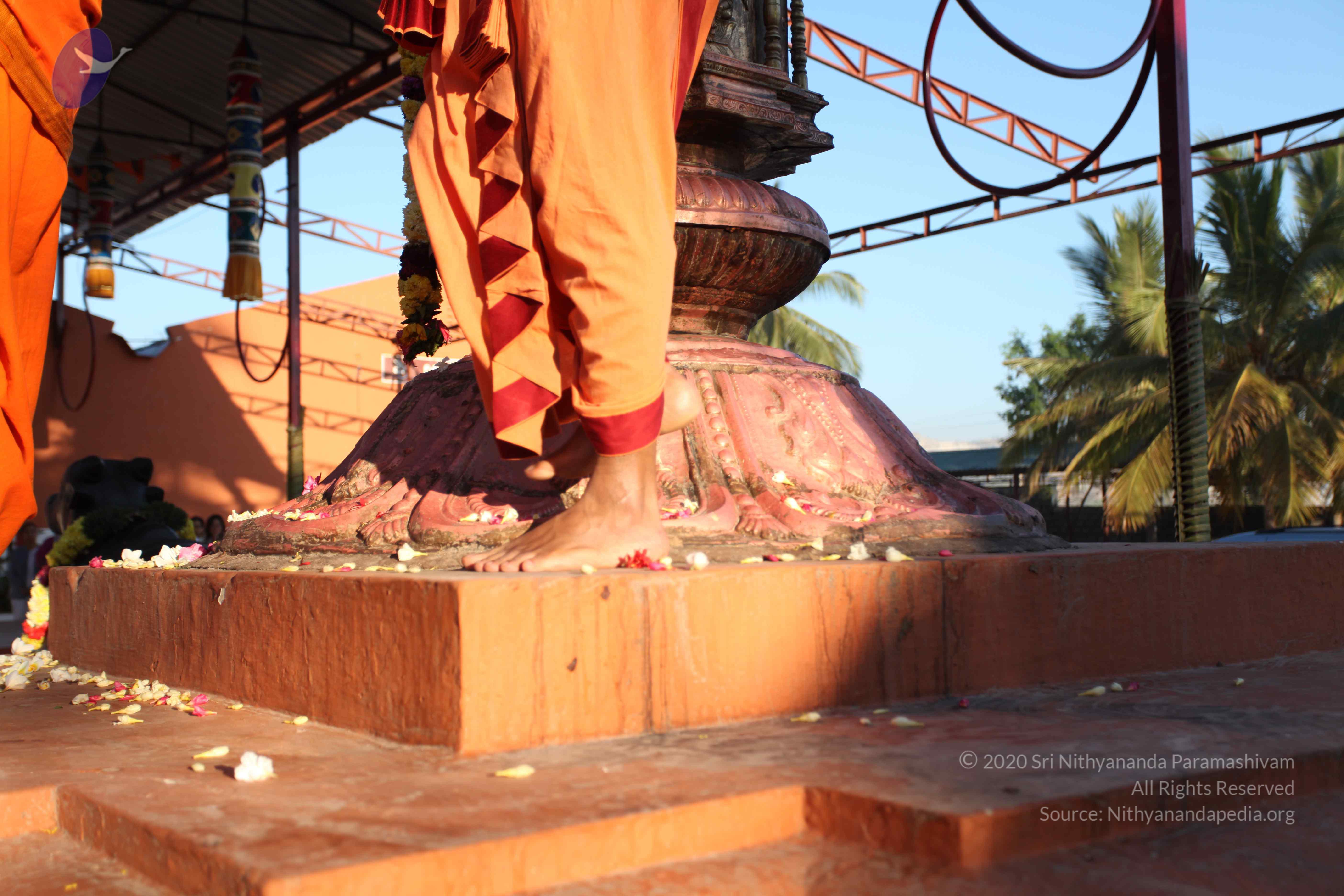 20110305_Photo_1032_IMG_7250_CMP_WM