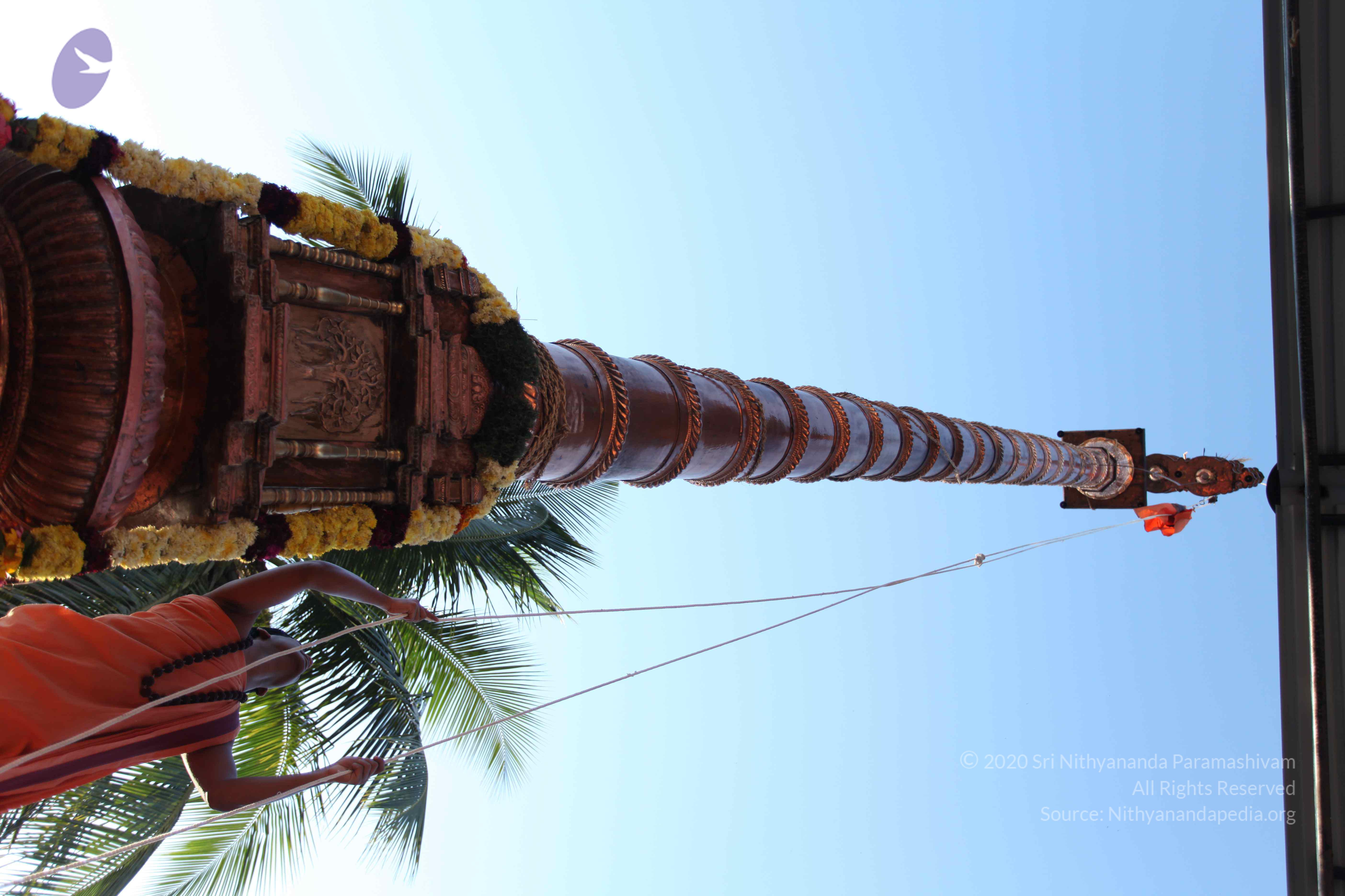 20110305_Photo_1034_IMG_7232_CMP_WM