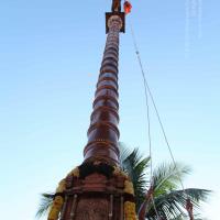 20110305_Photo_1034_IMG_7232_CMP_WM