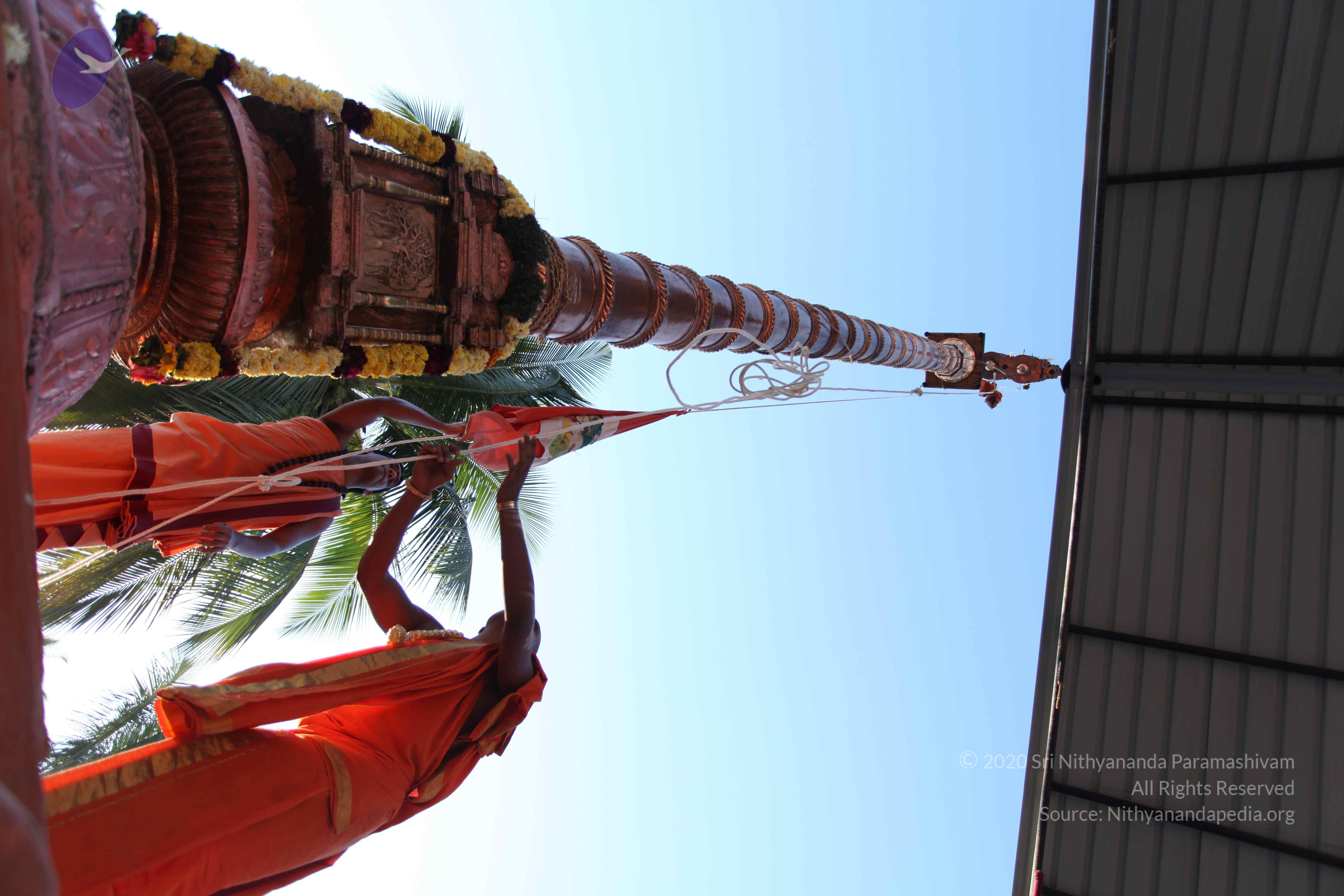 20110305_Photo_1036_IMG_7214_CMP_WM