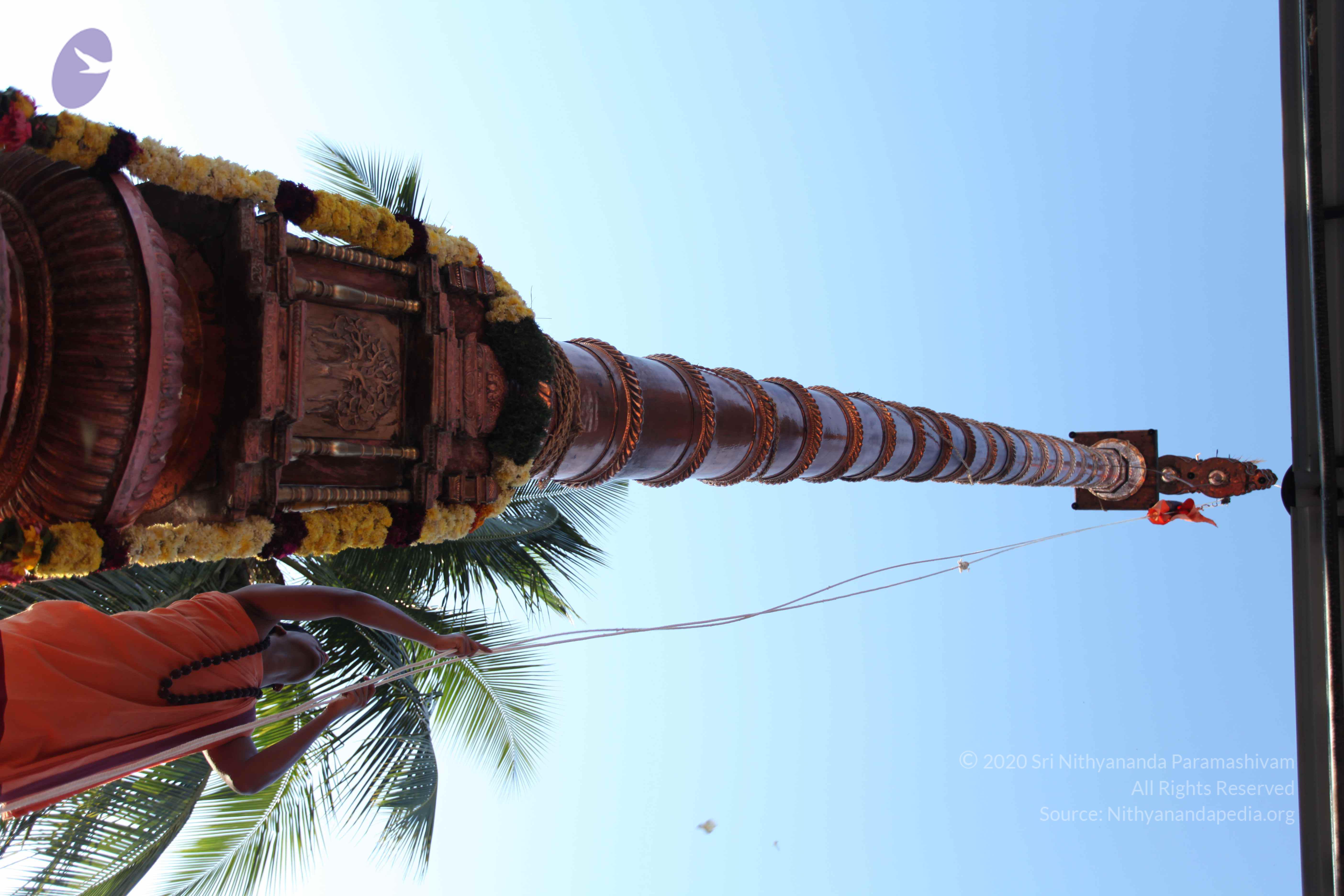 20110305_Photo_1042_IMG_7231_CMP_WM