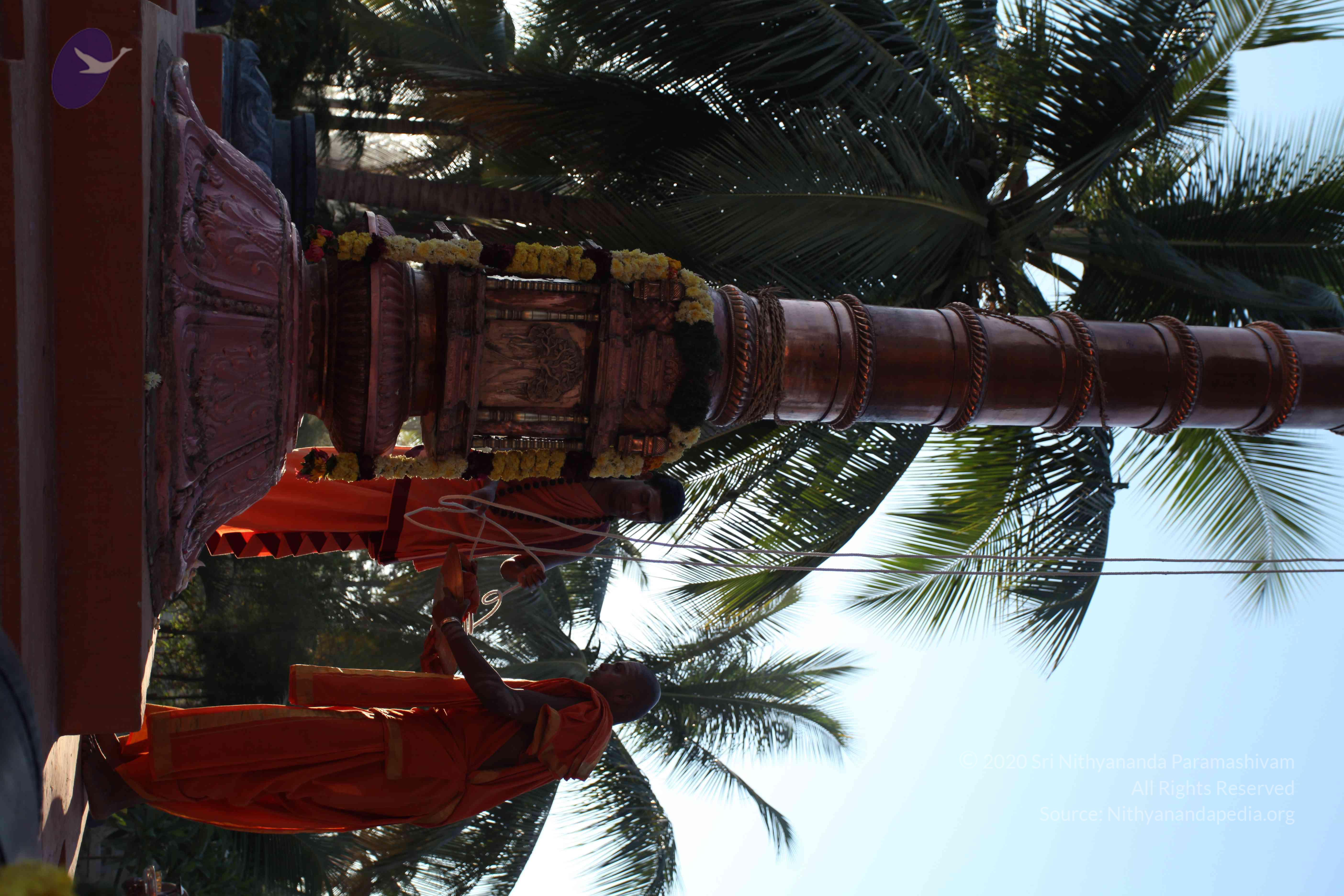 20110305_Photo_1043_IMG_7206_CMP_WM