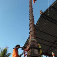 20110305_Photo_1044_IMG_7278_CMP_WM