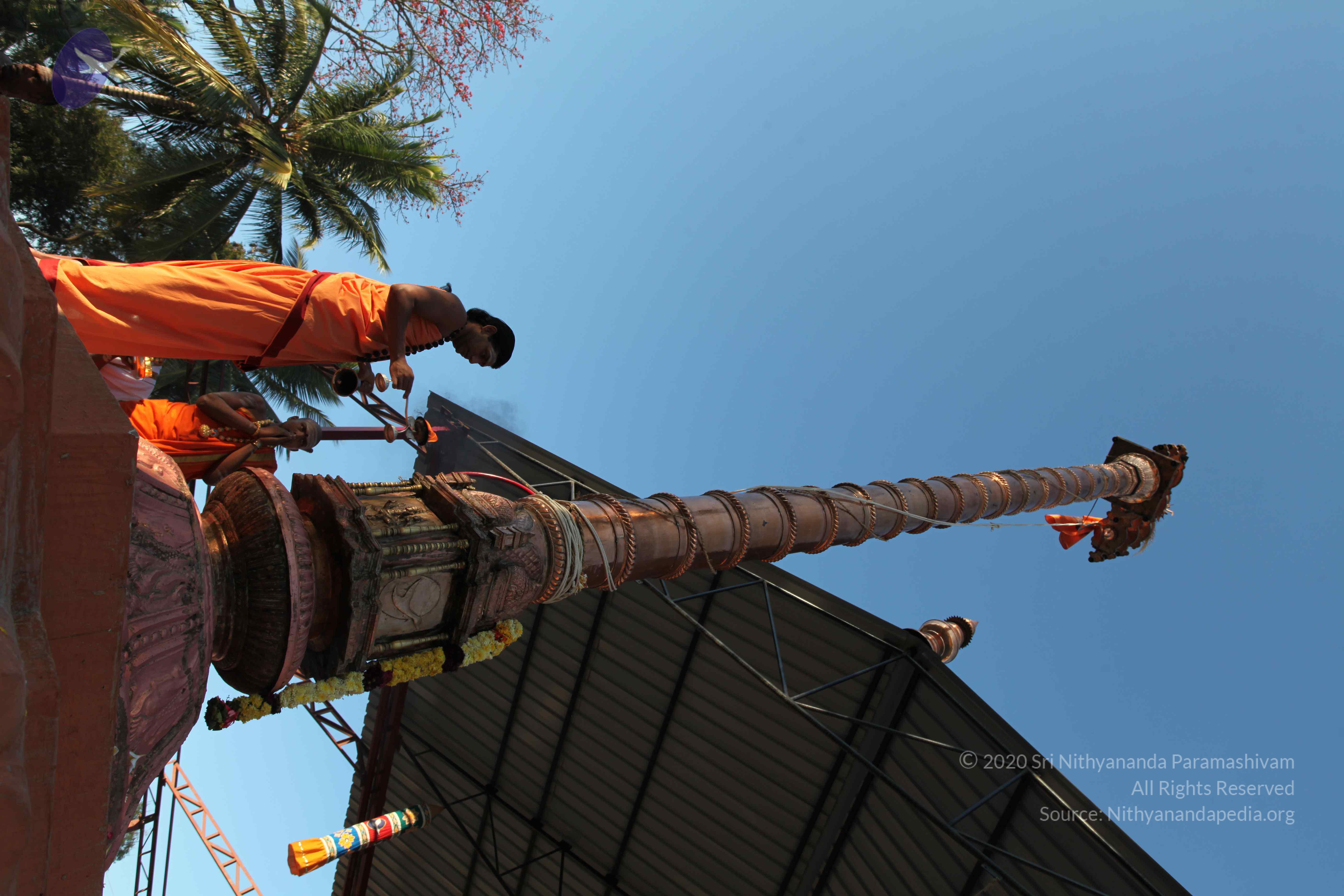 20110305_Photo_1045_IMG_7269_CMP_WM