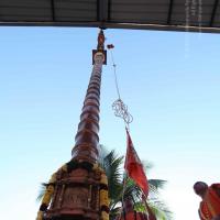 20110305_Photo_1047_IMG_7217_CMP_WM