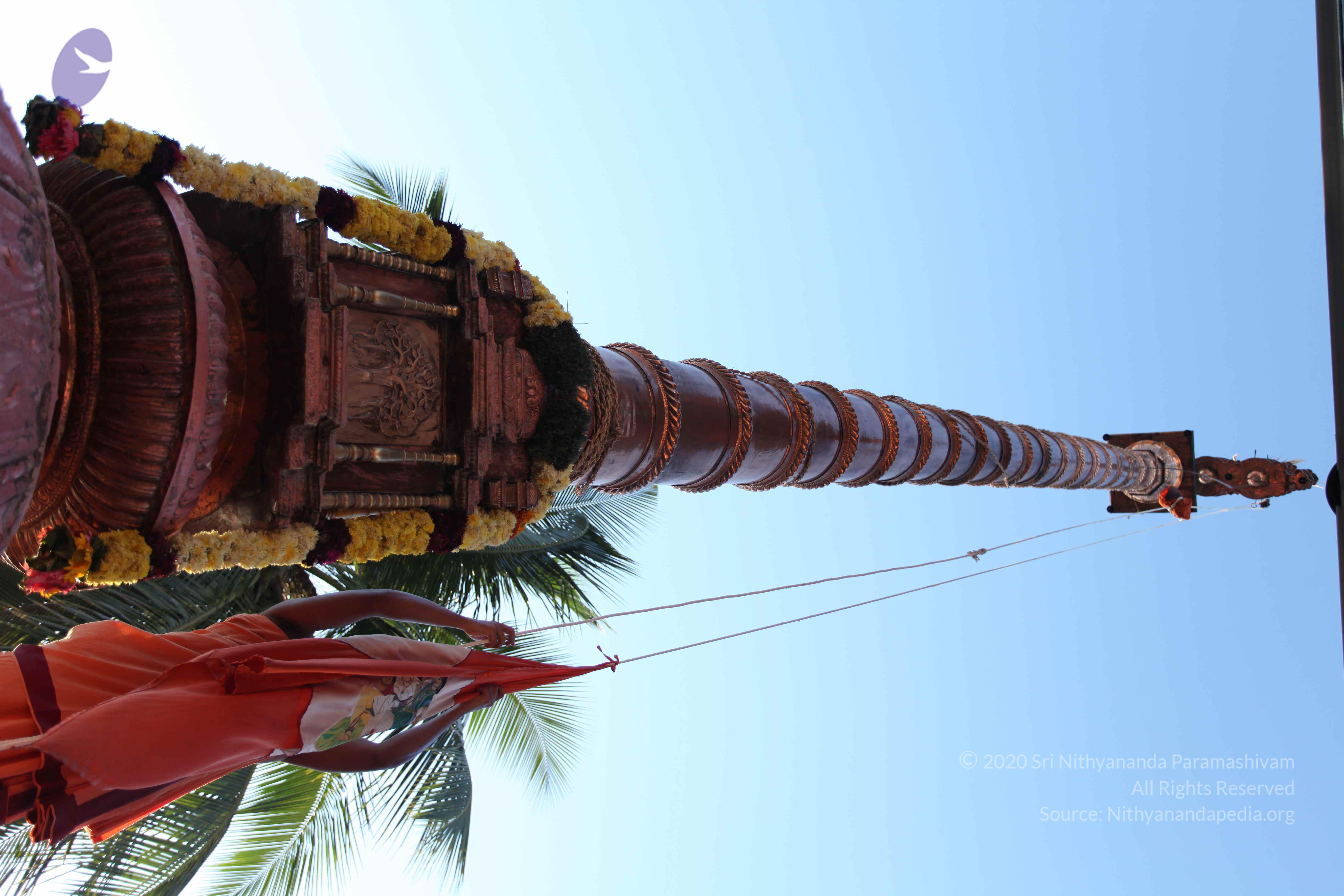 20110305_Photo_1048_IMG_7220_CMP_WM