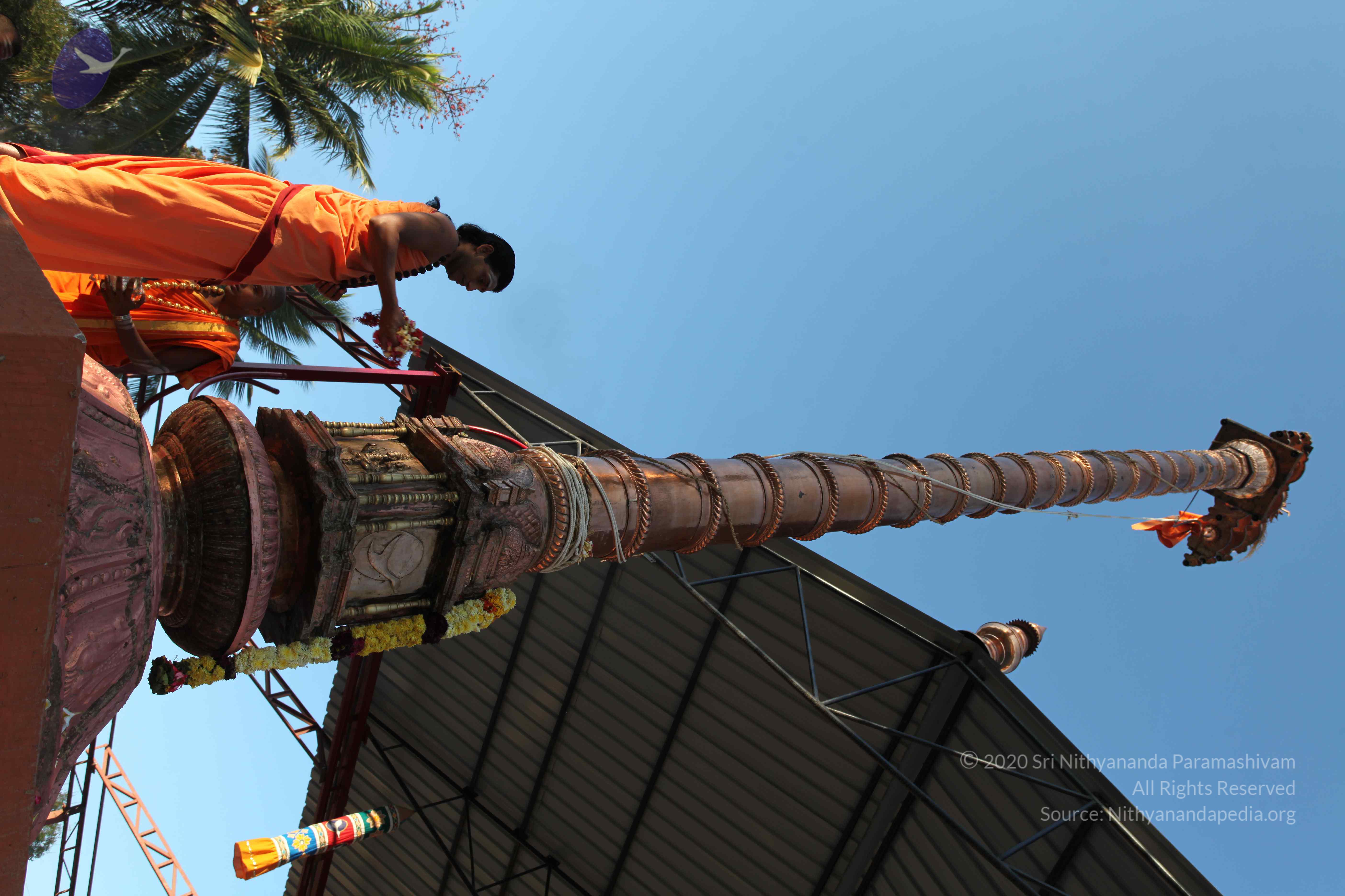 20110305_Photo_1049_IMG_7275_CMP_WM