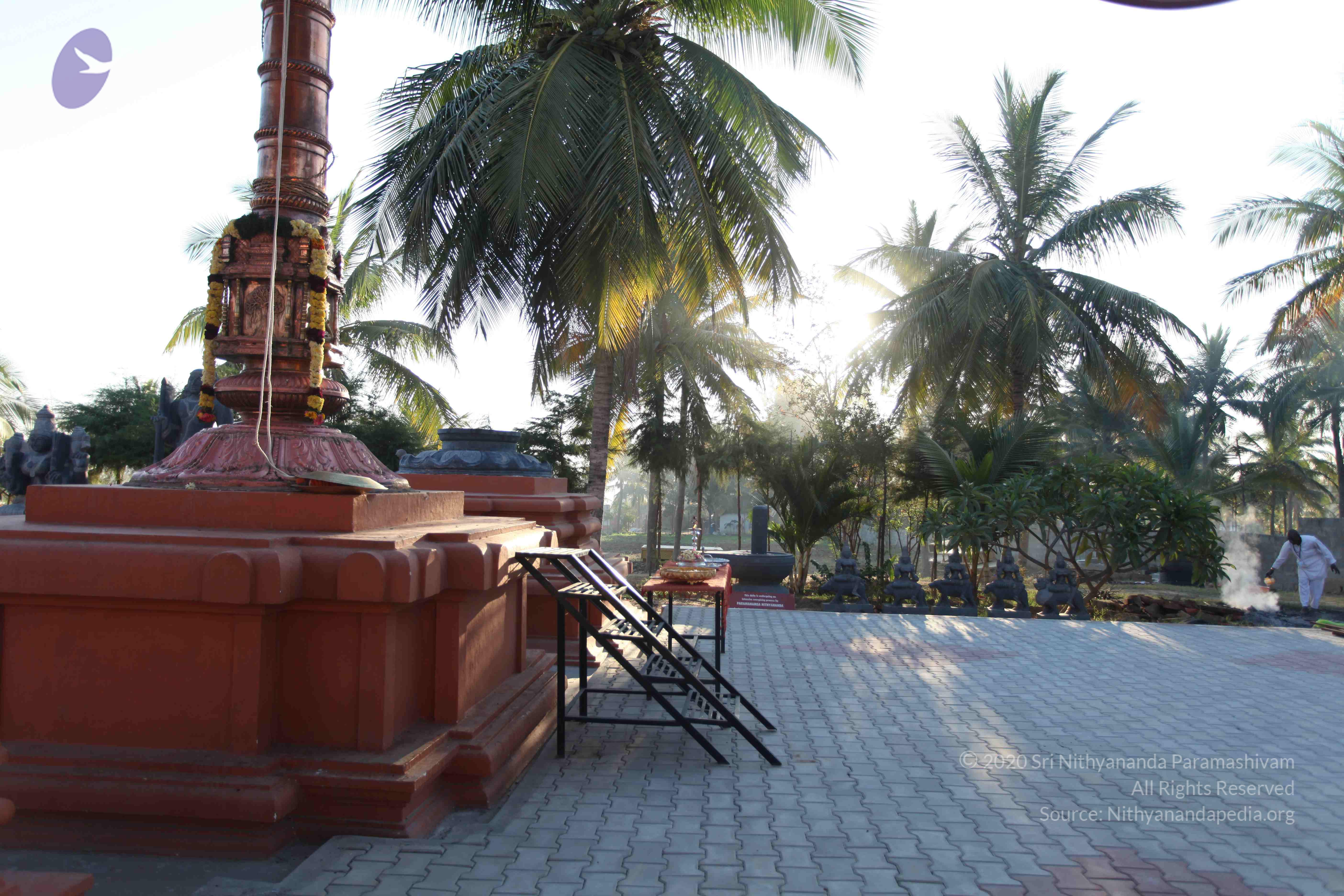 20110305_Photo_1051_IMG_7150_CMP_WM