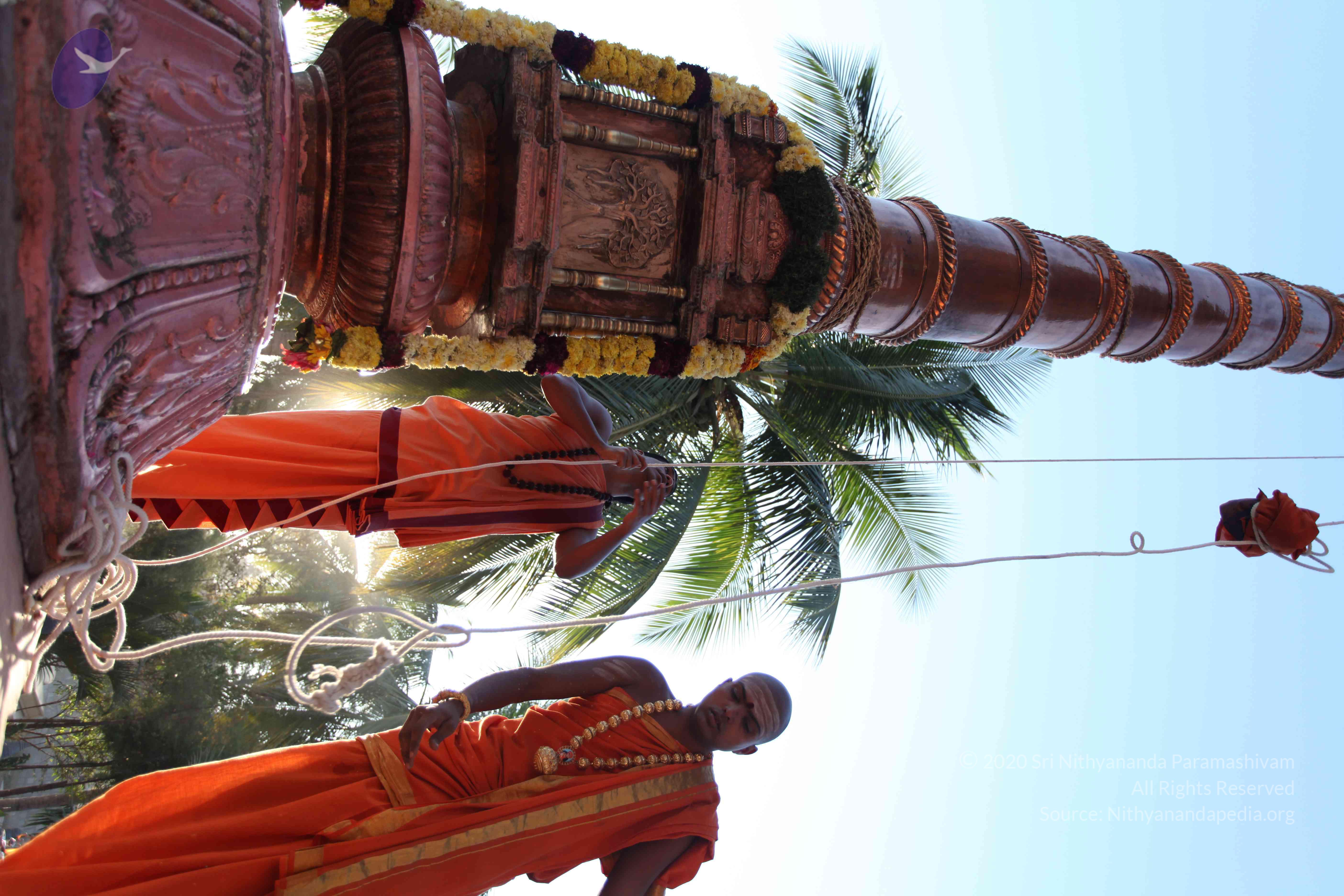 20110305_Photo_1054_IMG_7212_CMP_WM