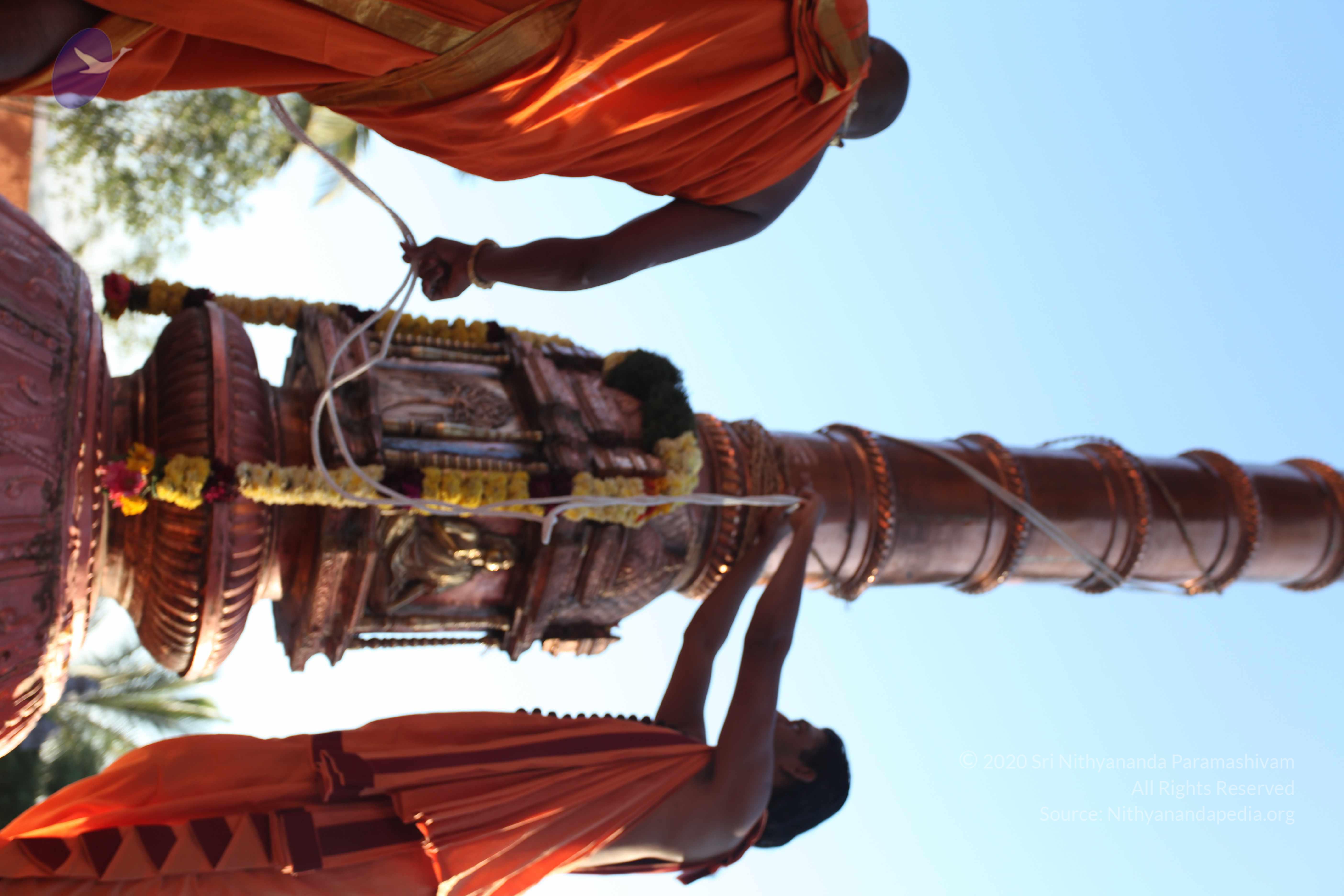 20110305_Photo_1055_IMG_7247_CMP_WM