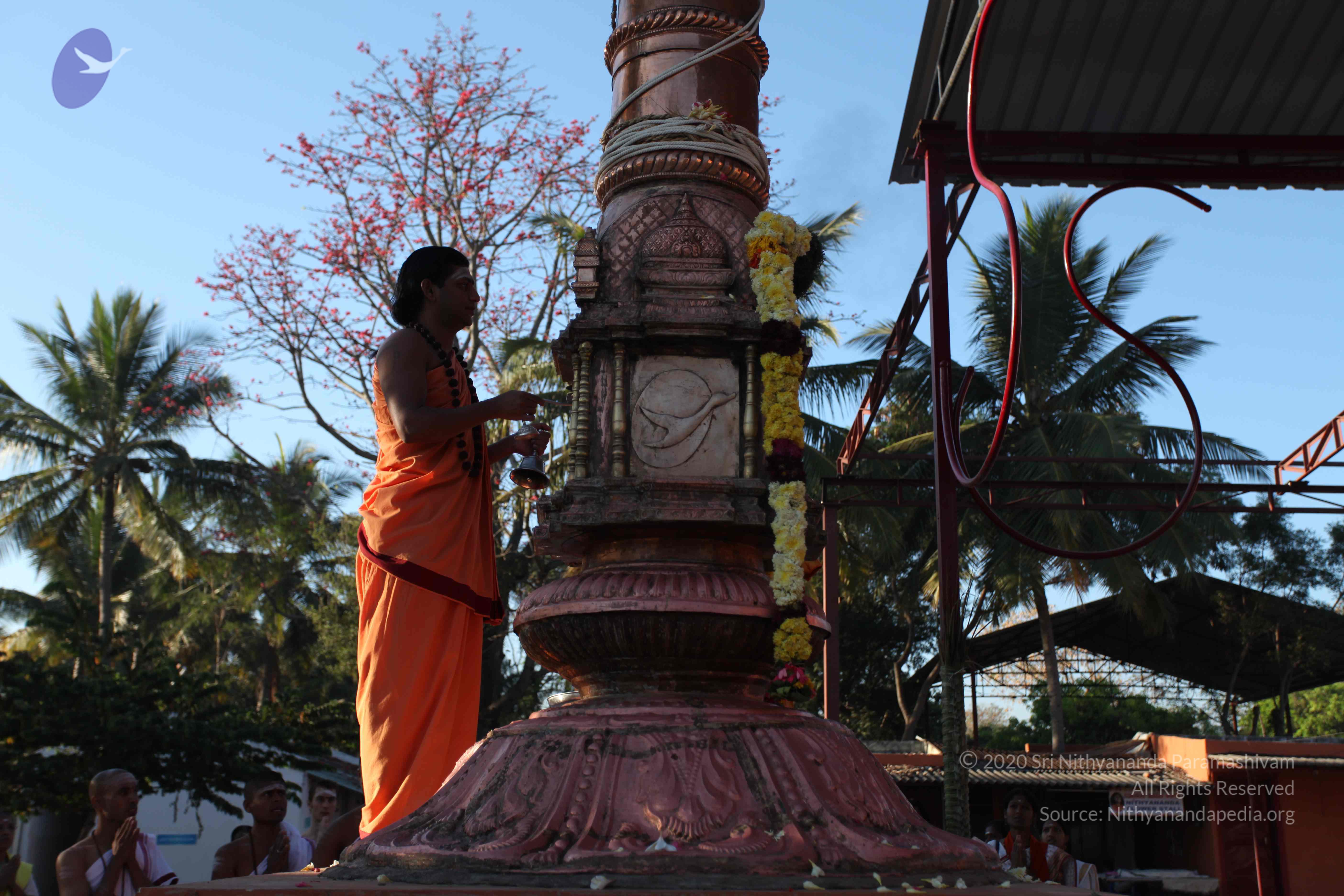 20110305_Photo_1057_IMG_7261_CMP_WM