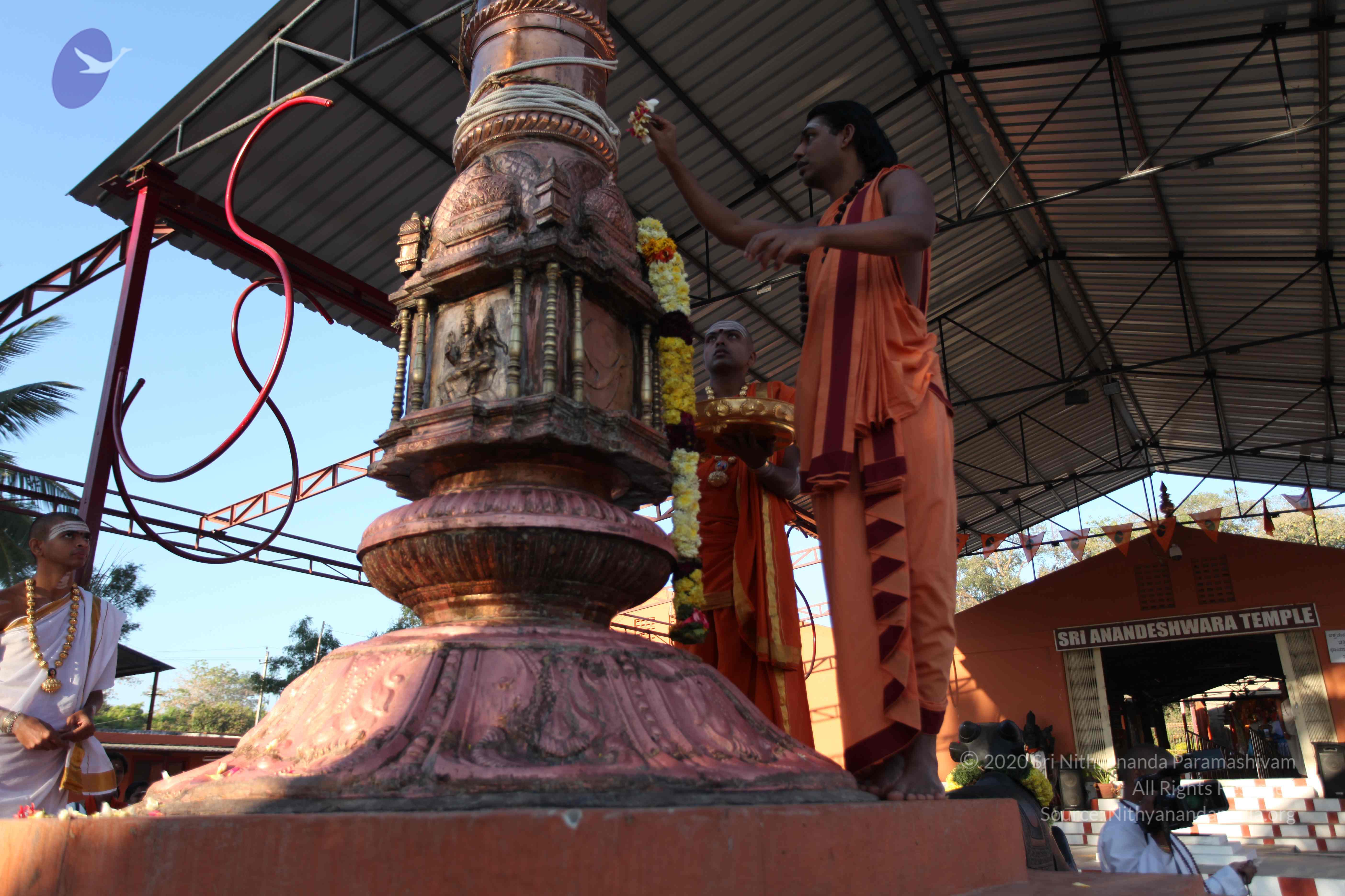 20110305_Photo_1058_IMG_7256_CMP_WM