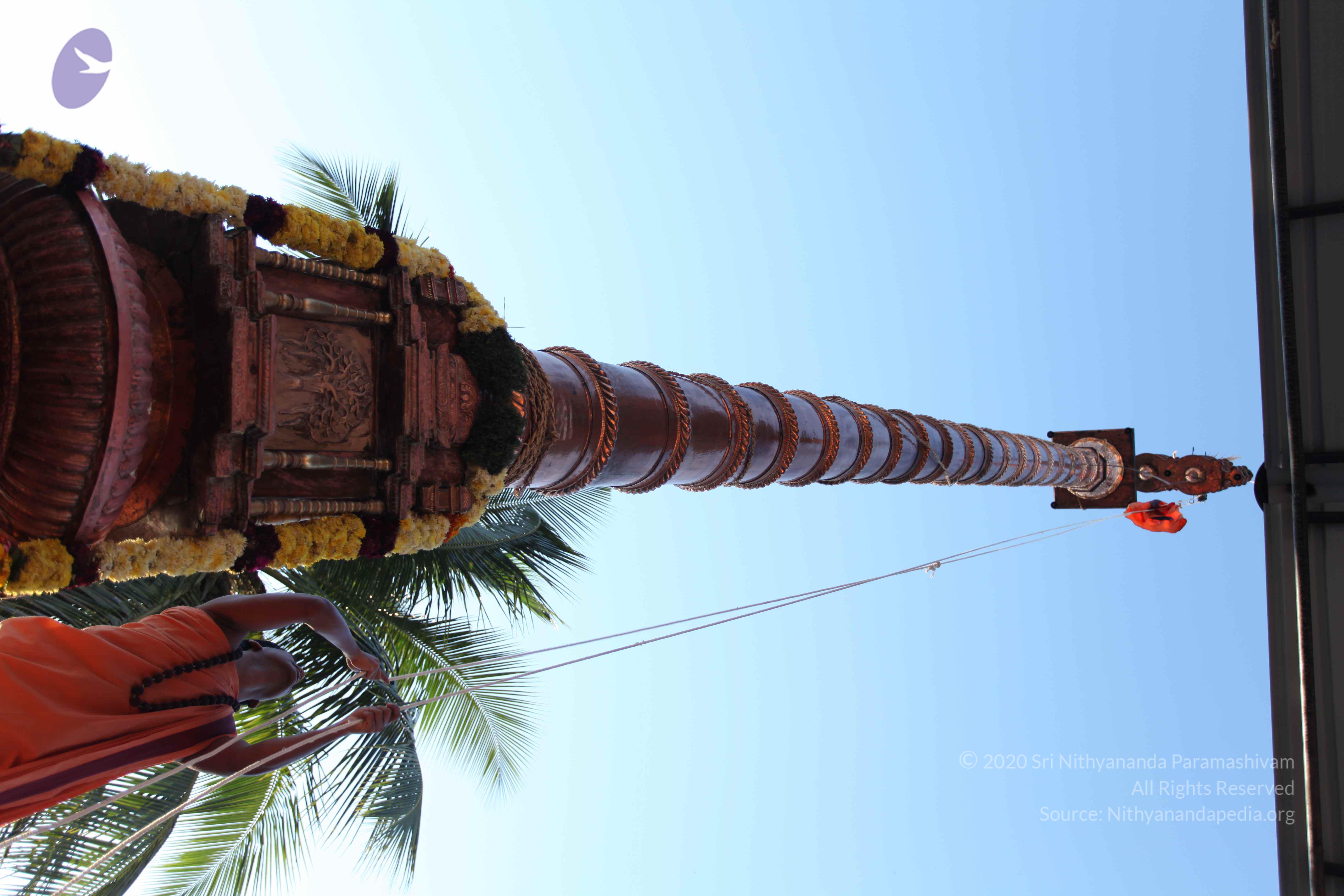 20110305_Photo_1059_IMG_7234_CMP_WM