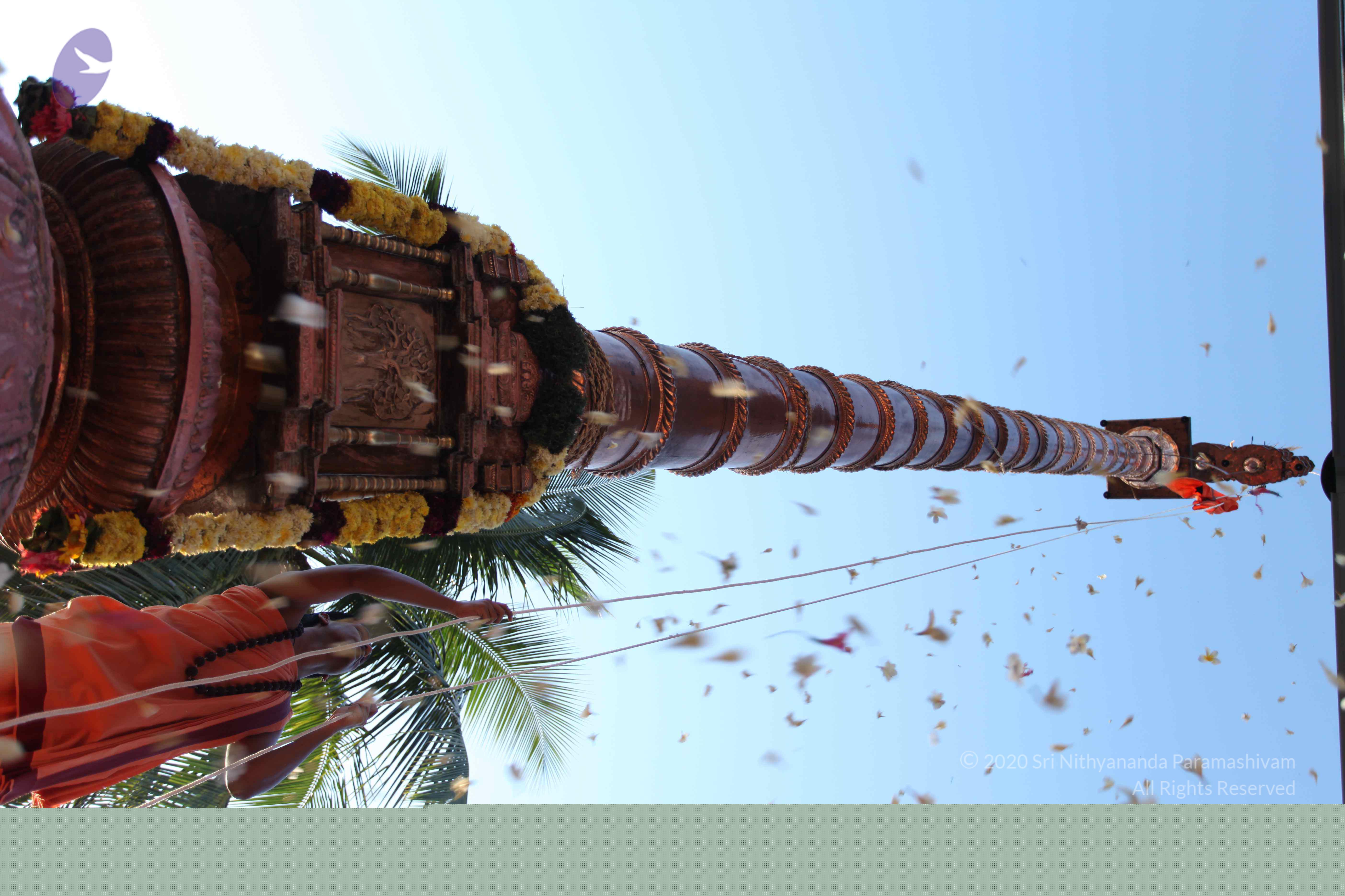 20110305_Photo_1060_IMG_7228_CMP_WM