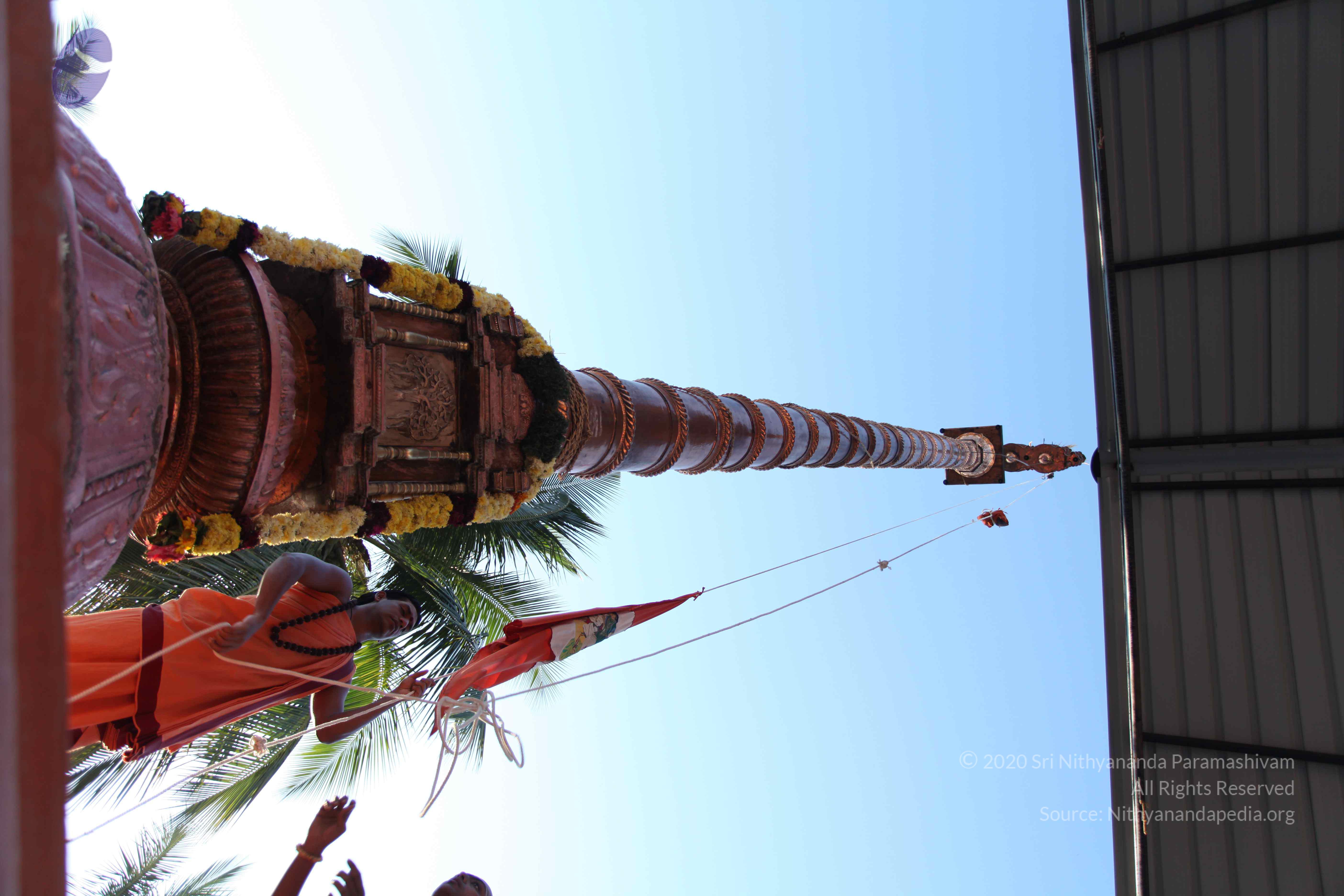 20110305_Photo_1061_IMG_7218_CMP_WM