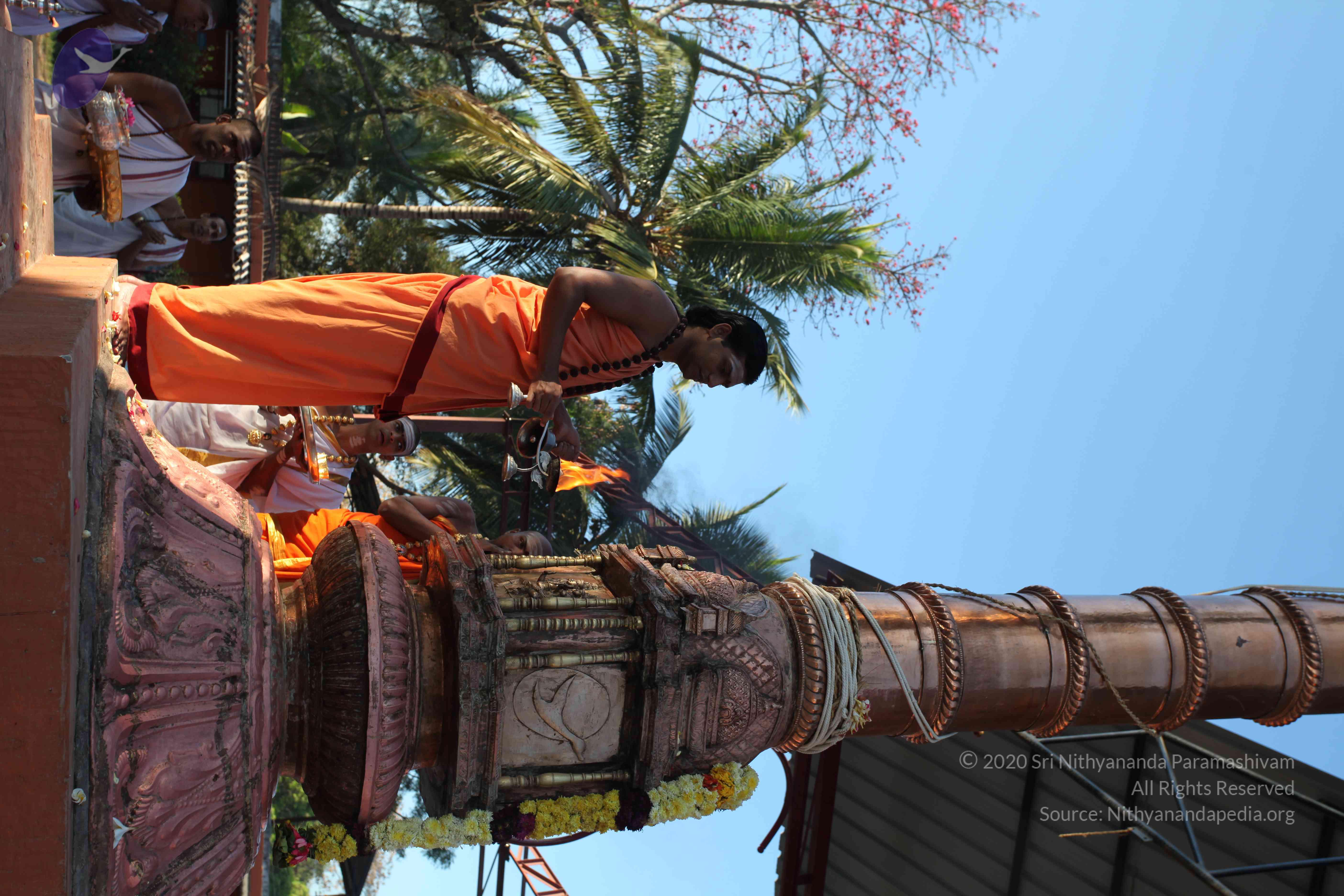 20110305_Photo_1062_IMG_7266_CMP_WM