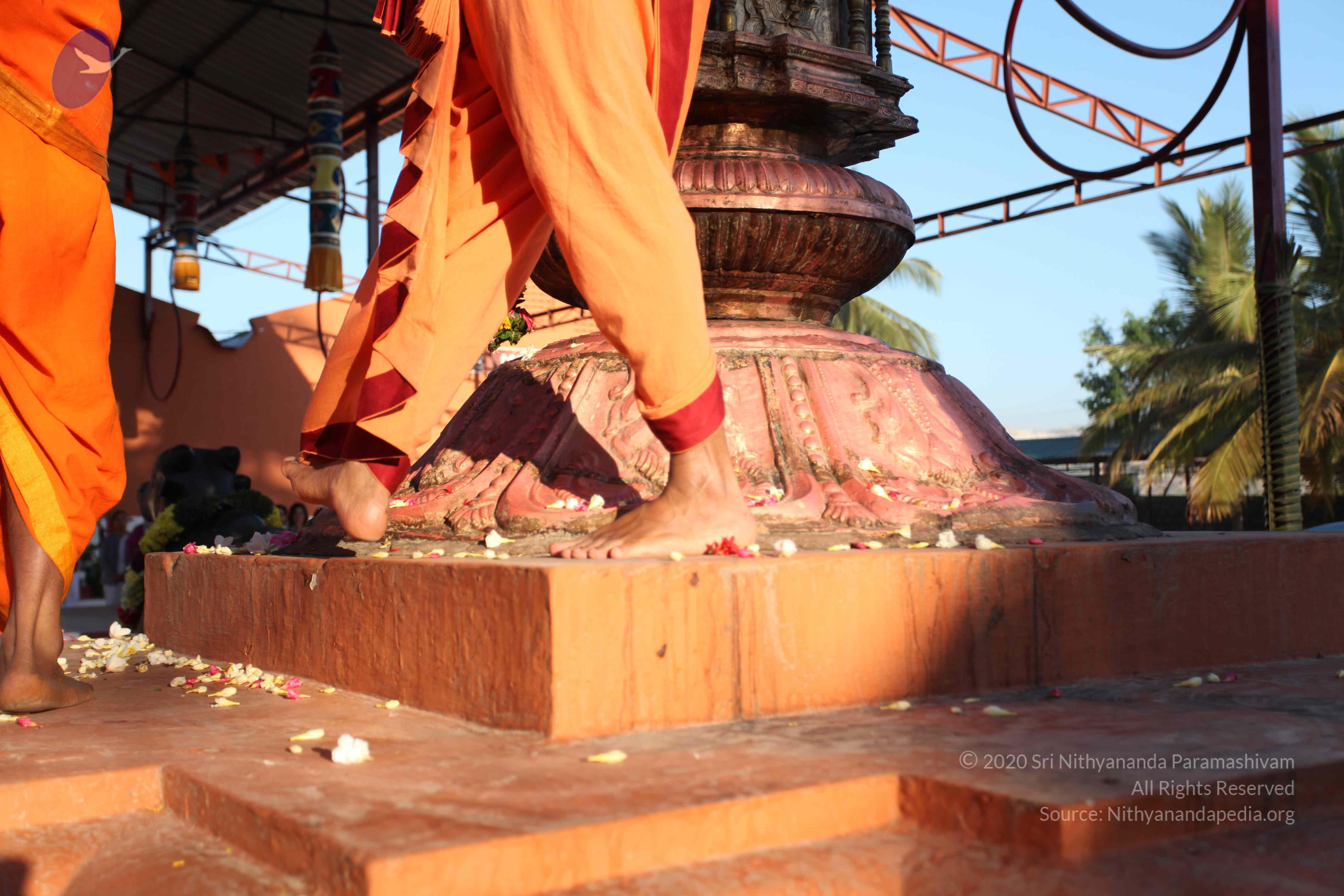 20110305_Photo_1063_IMG_7251_CMP_WM