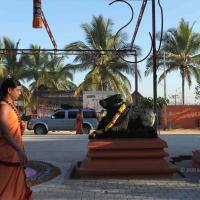 20110305_Photo_1064_IMG_7204_CMP_WM