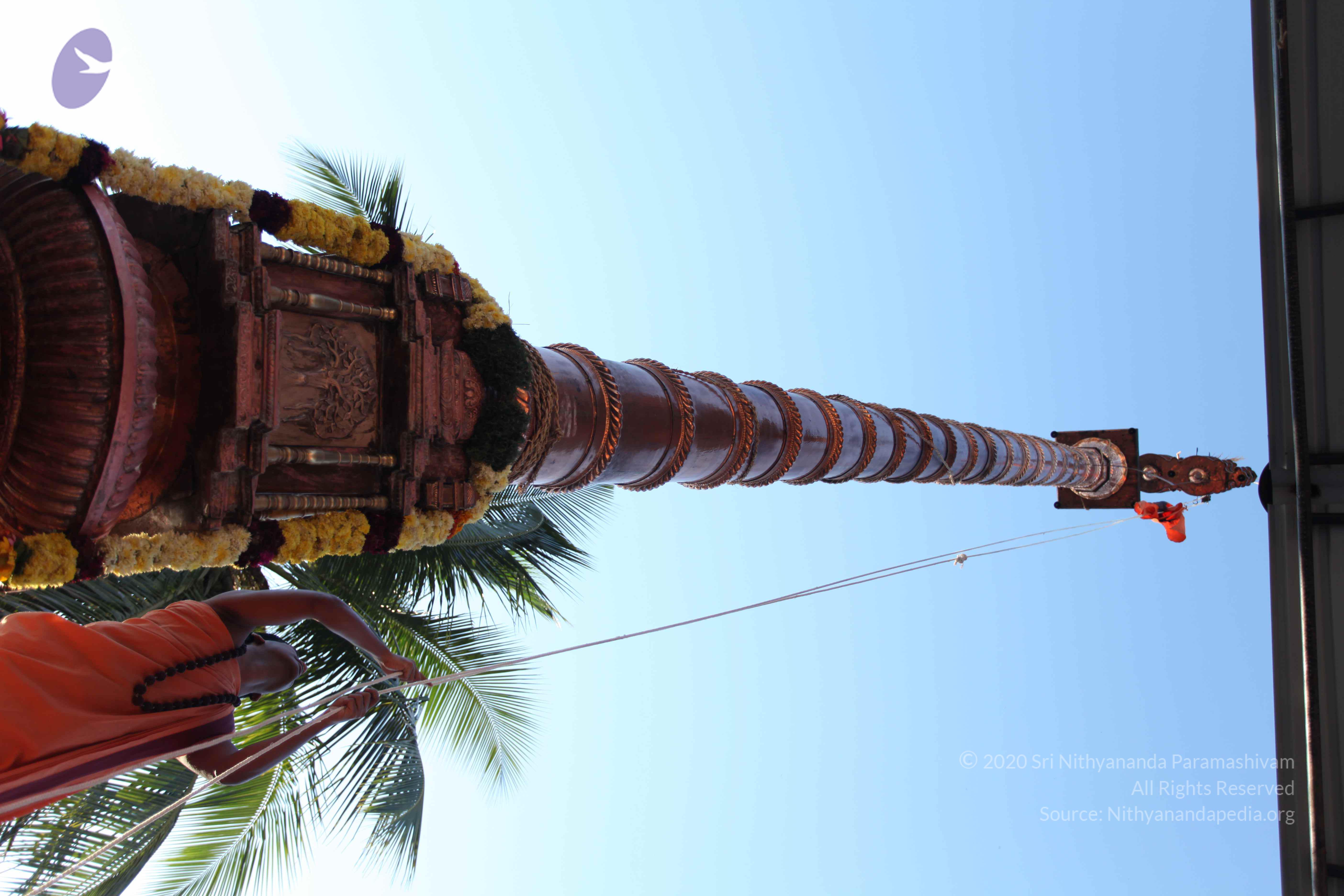 20110305_Photo_1065_IMG_7233_CMP_WM