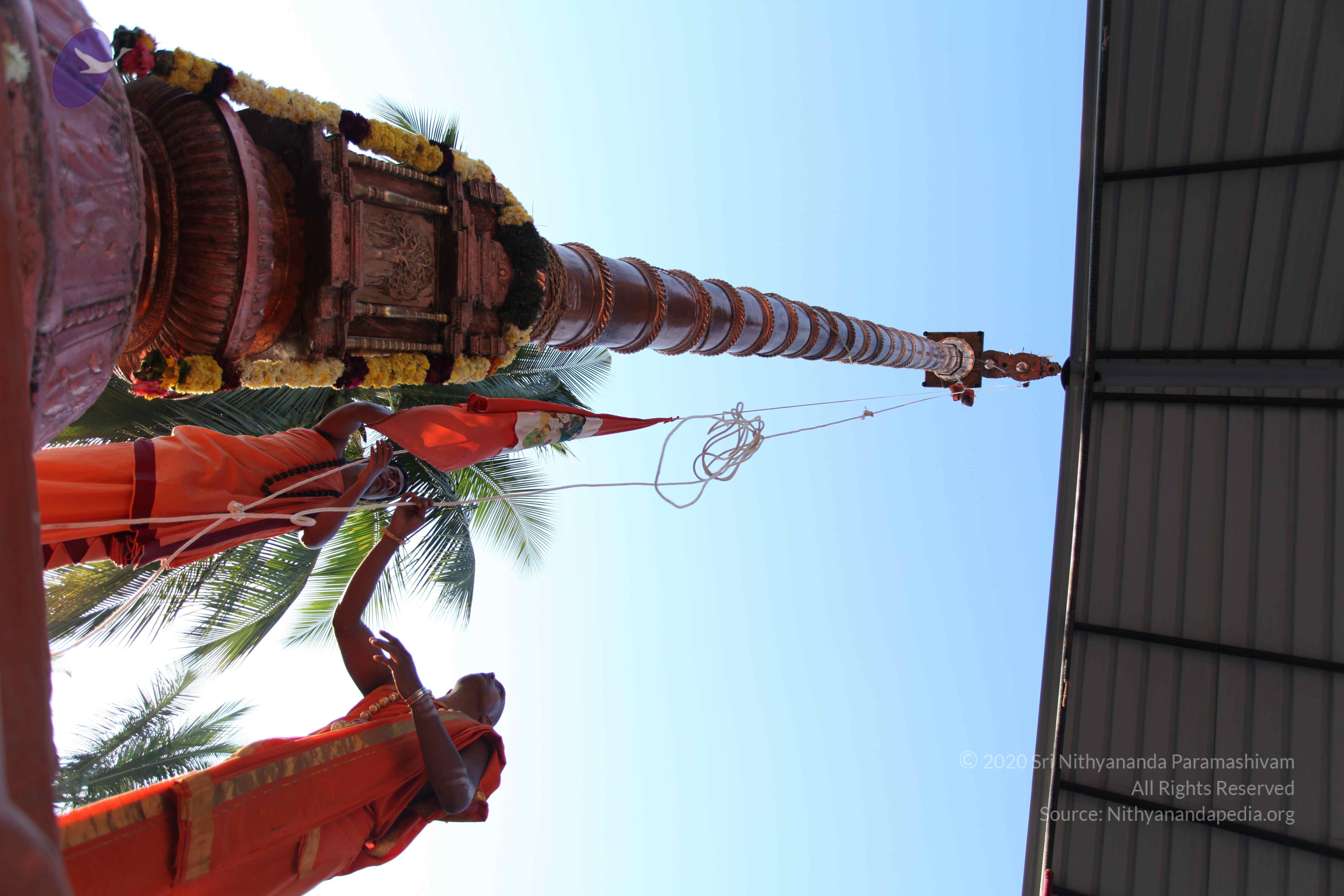 20110305_Photo_1067_IMG_7215_CMP_WM