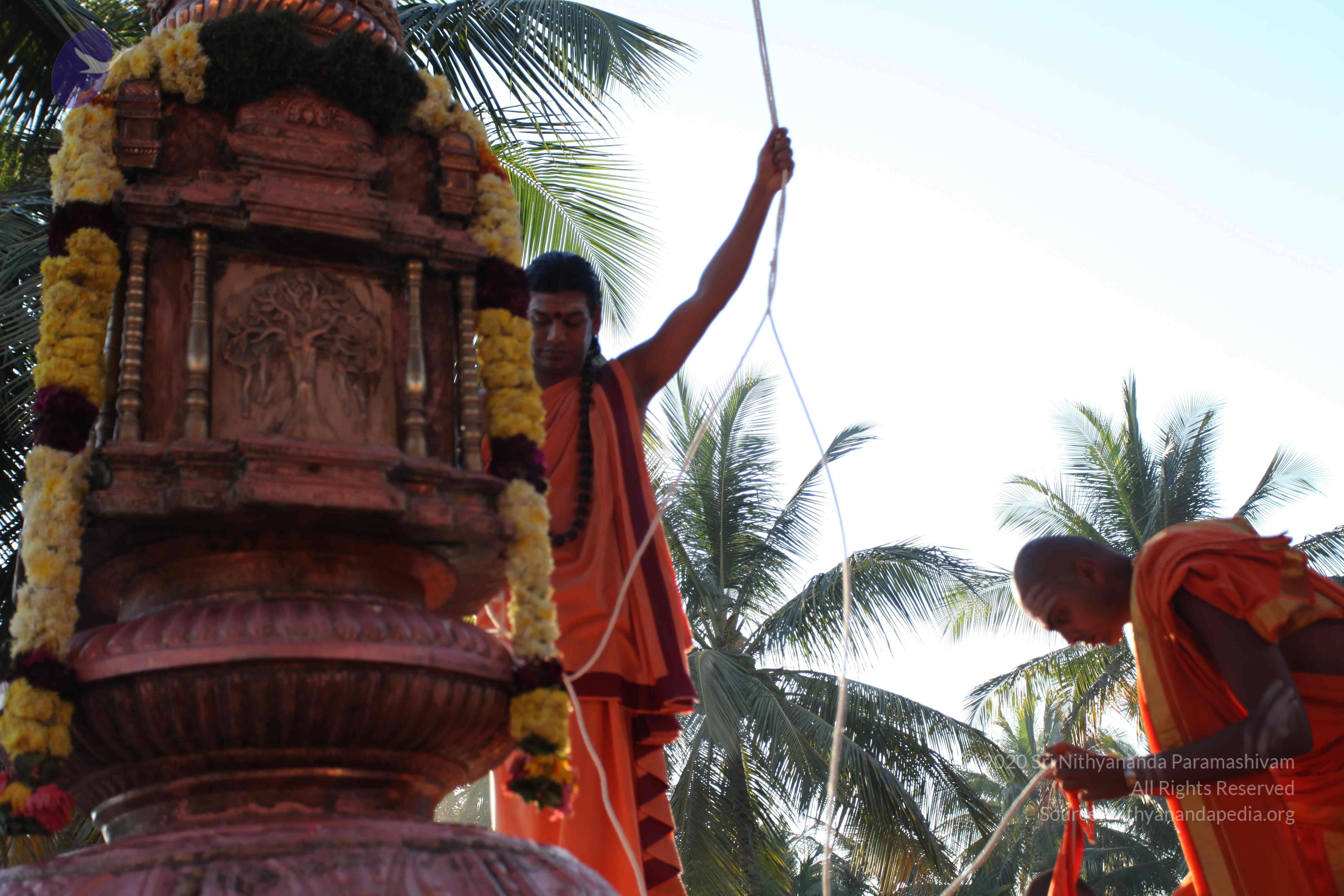 20110305_Photo_1068_IMG_7240_CMP_WM