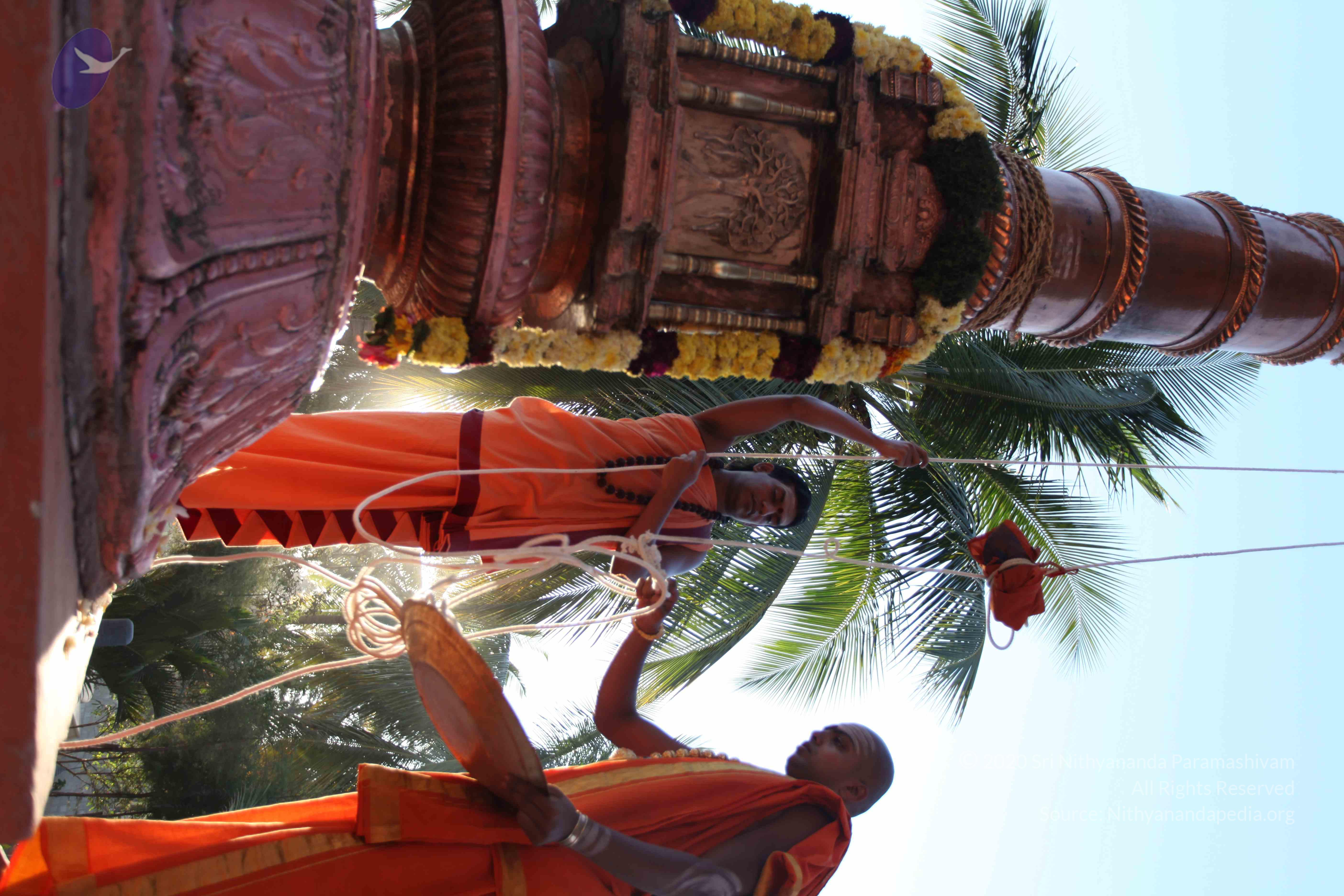 20110305_Photo_1071_IMG_7210_CMP_WM