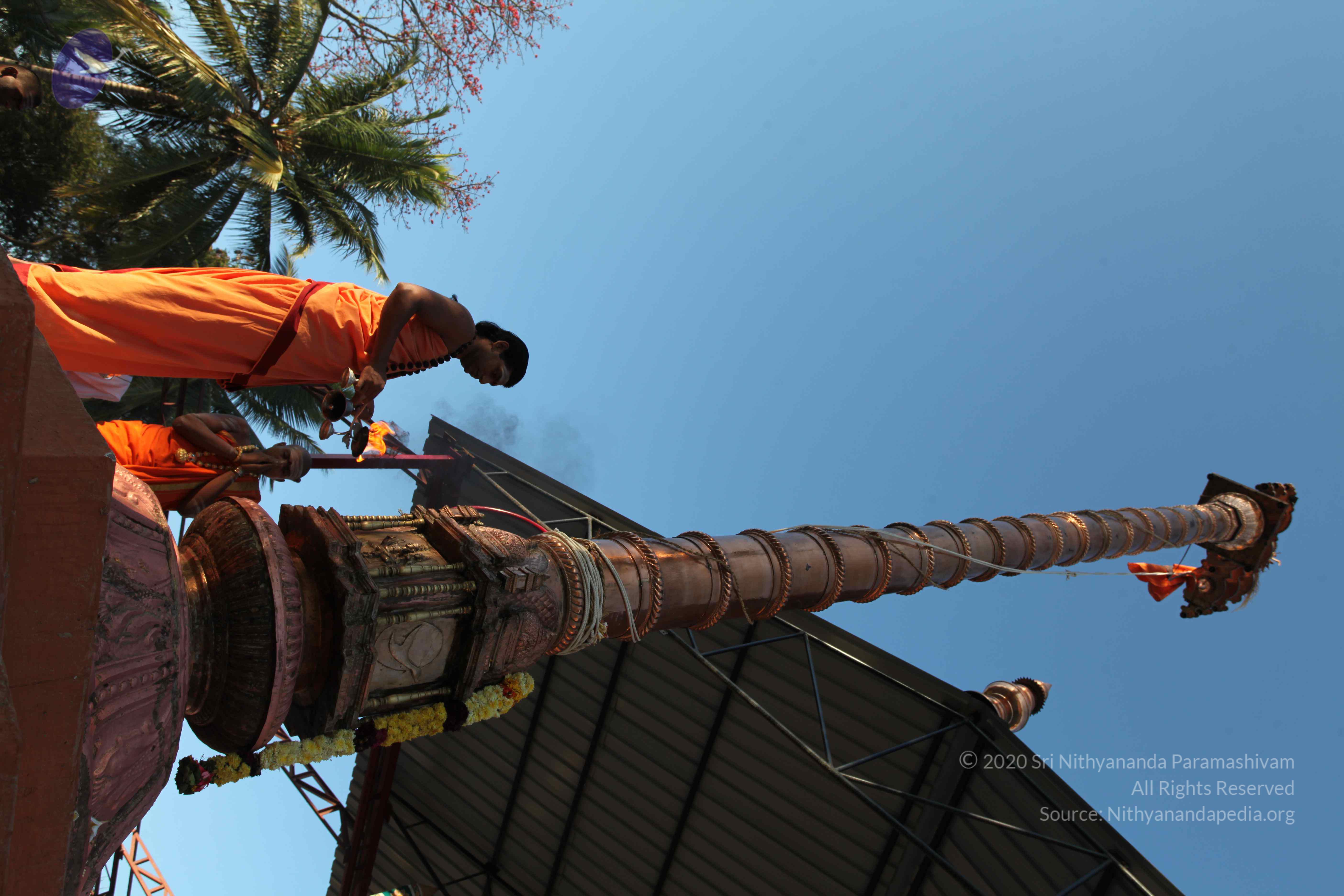 20110305_Photo_1073_IMG_7272_CMP_WM