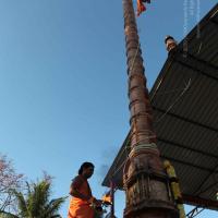 20110305_Photo_1073_IMG_7272_CMP_WM