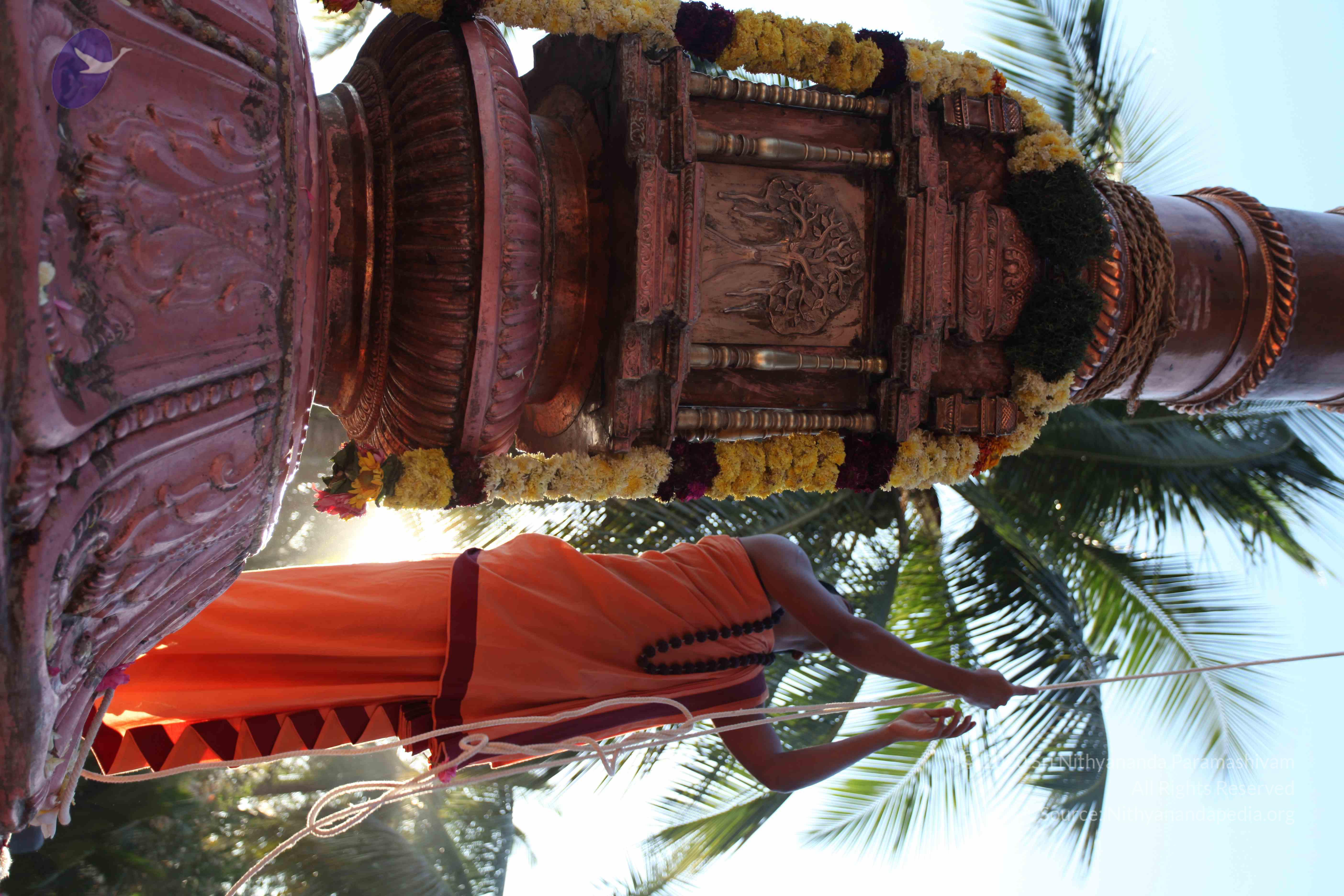 20110305_Photo_1077_IMG_7236_CMP_WM