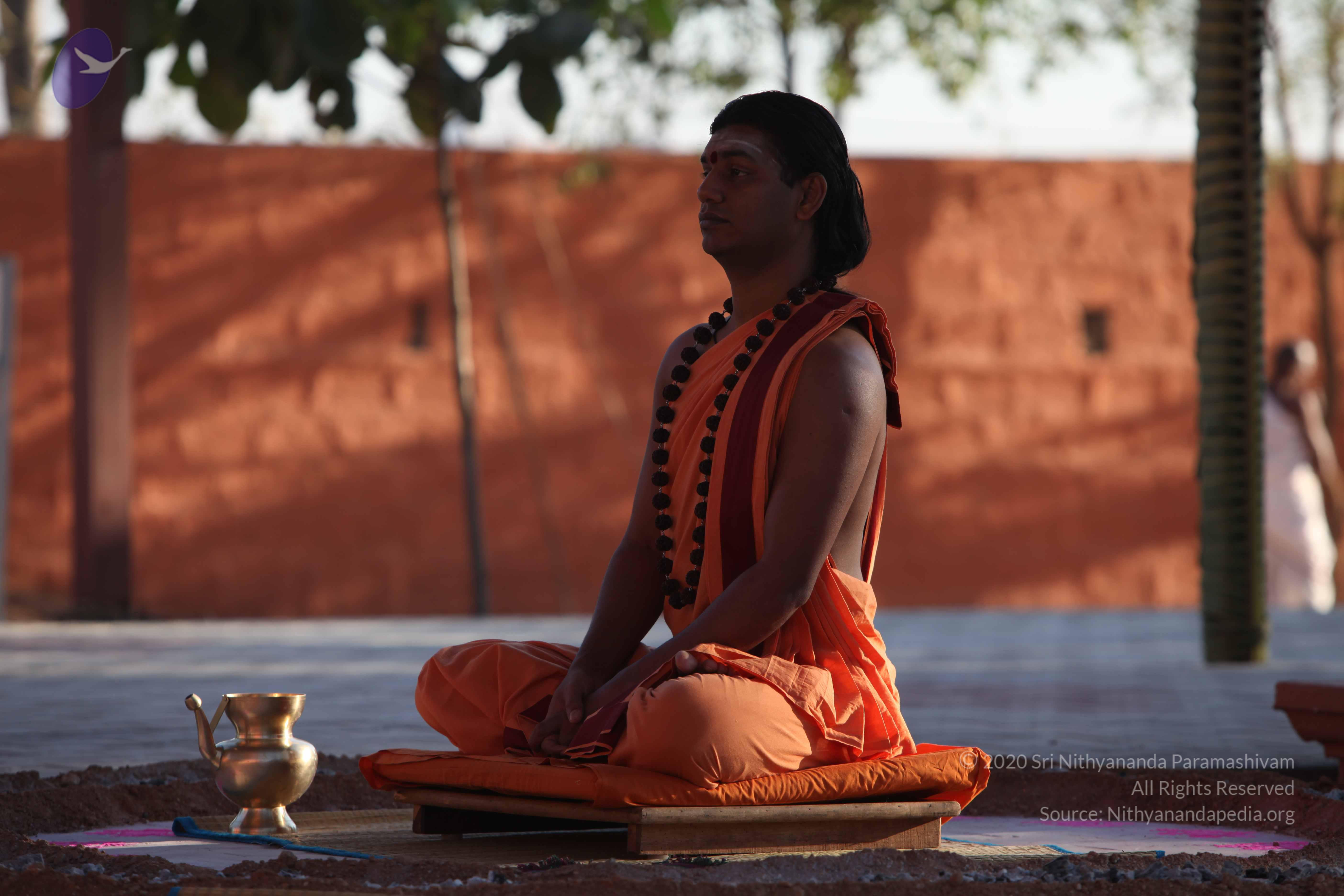 20110305_Photo_1000_IMG_7292_CMP_WM