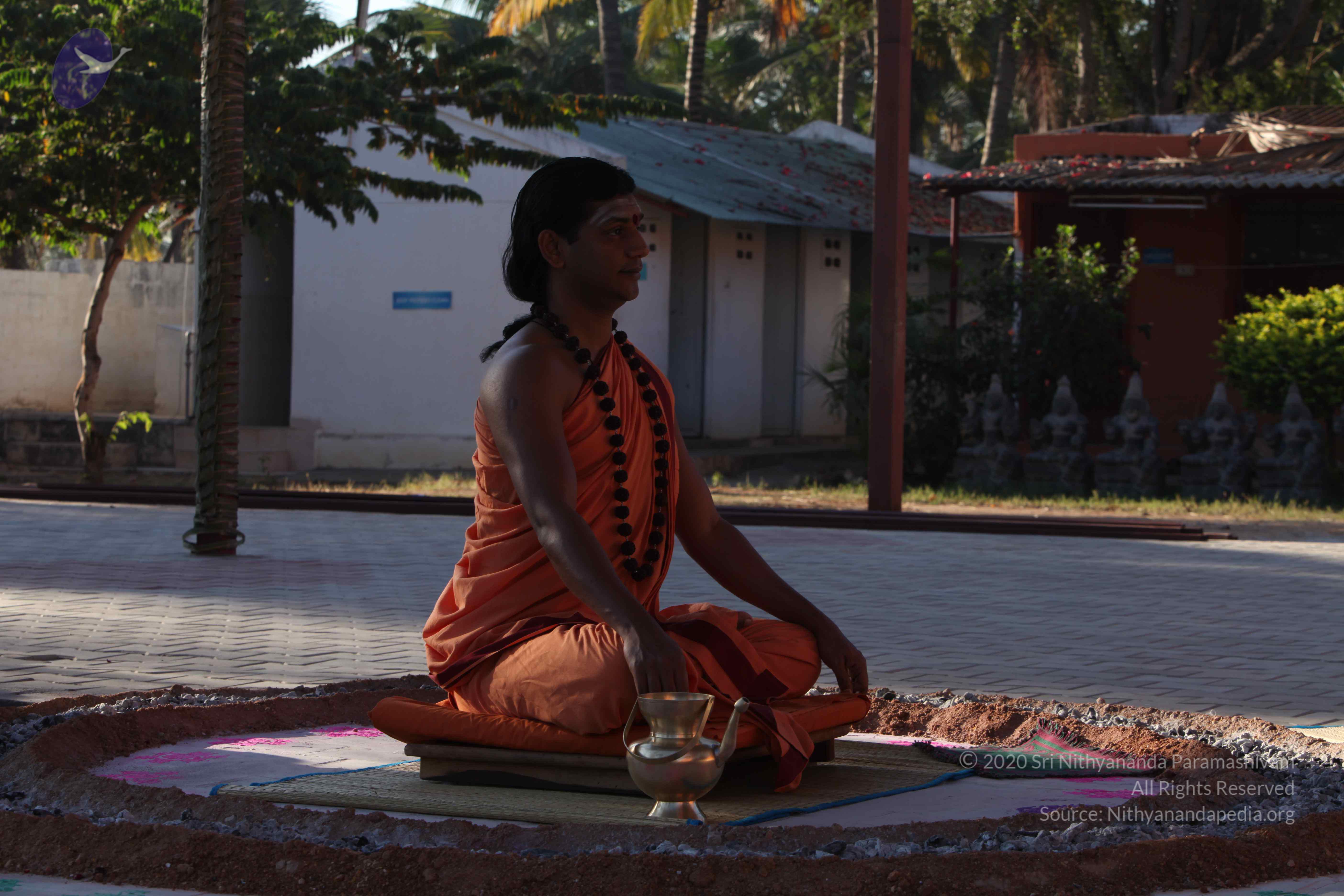 20110305_Photo_1008_IMG_7313_CMP_WM