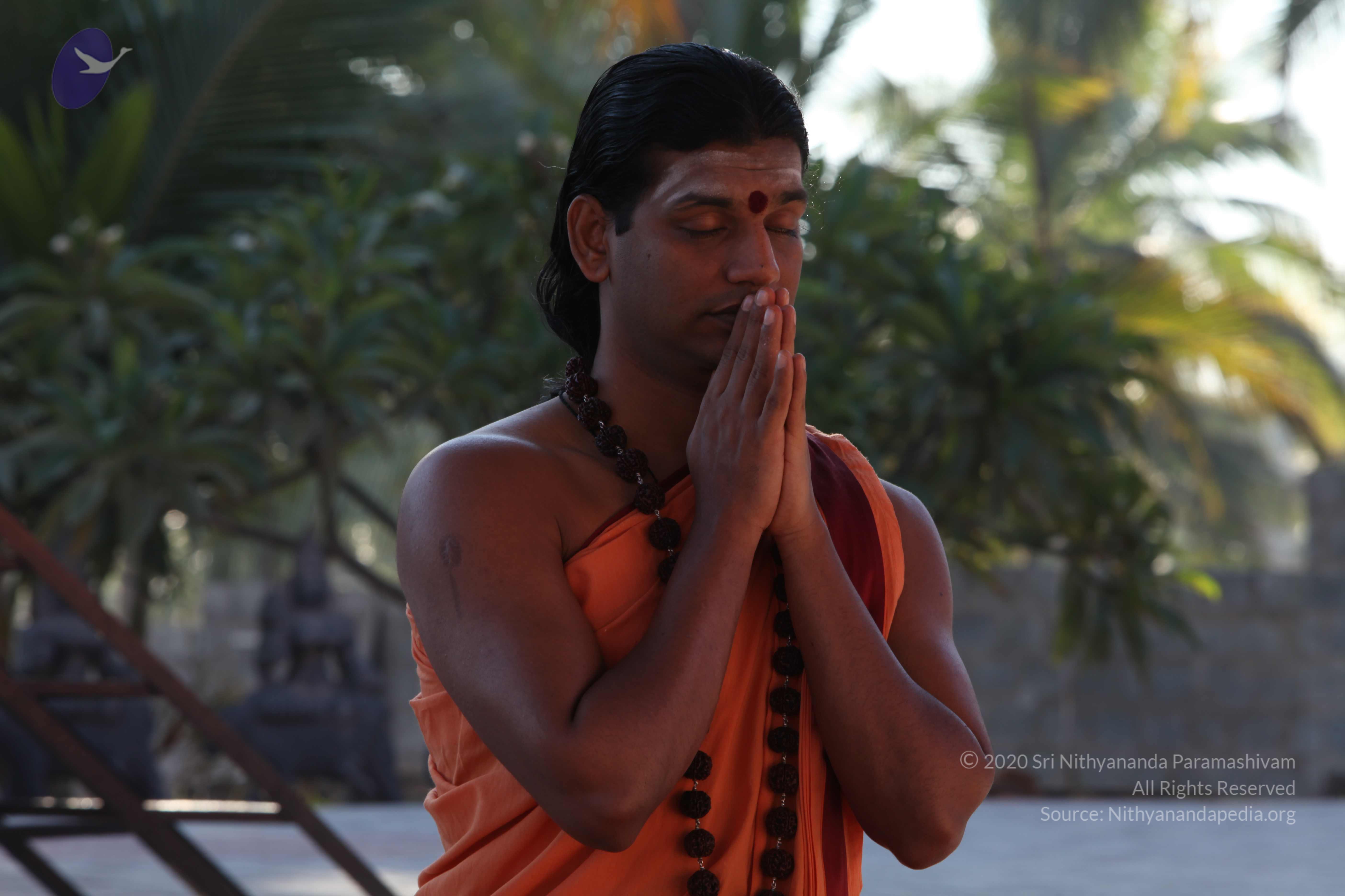 20110305_Photo_1014_IMG_7360_CMP_WM