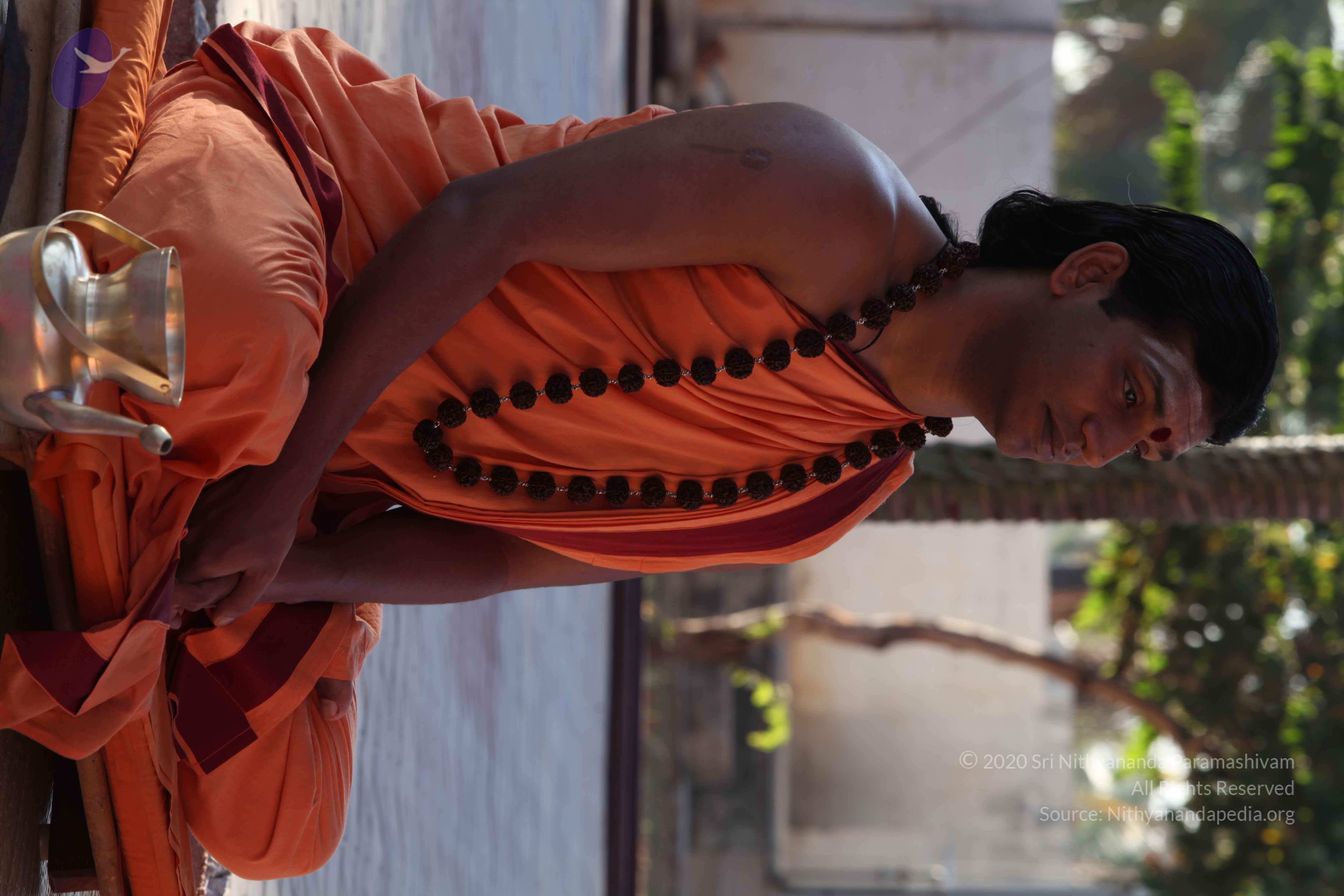 20110305_Photo_1018_IMG_7350_CMP_WM