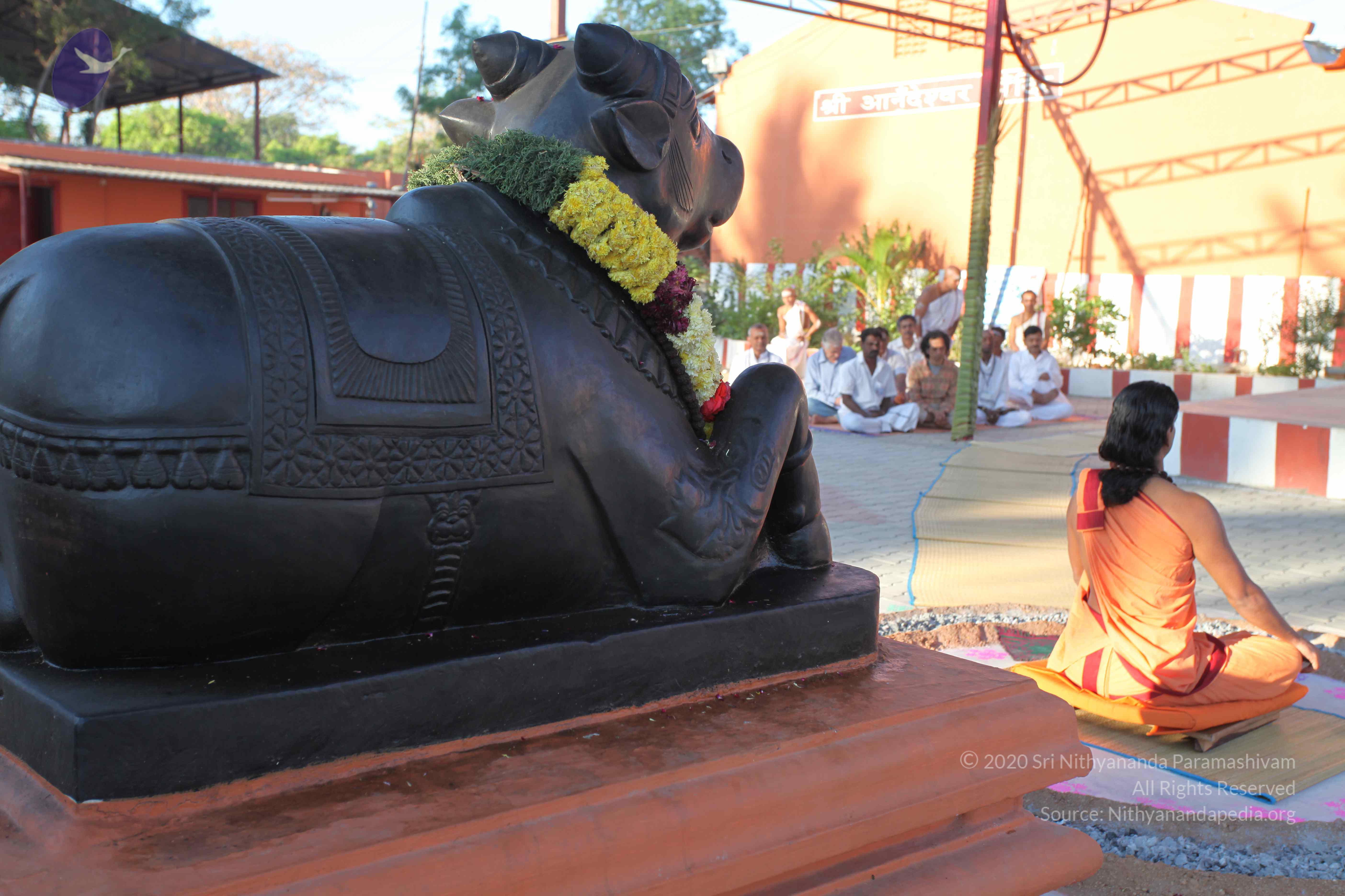 20110305_Photo_1020_IMG_7281_CMP_WM