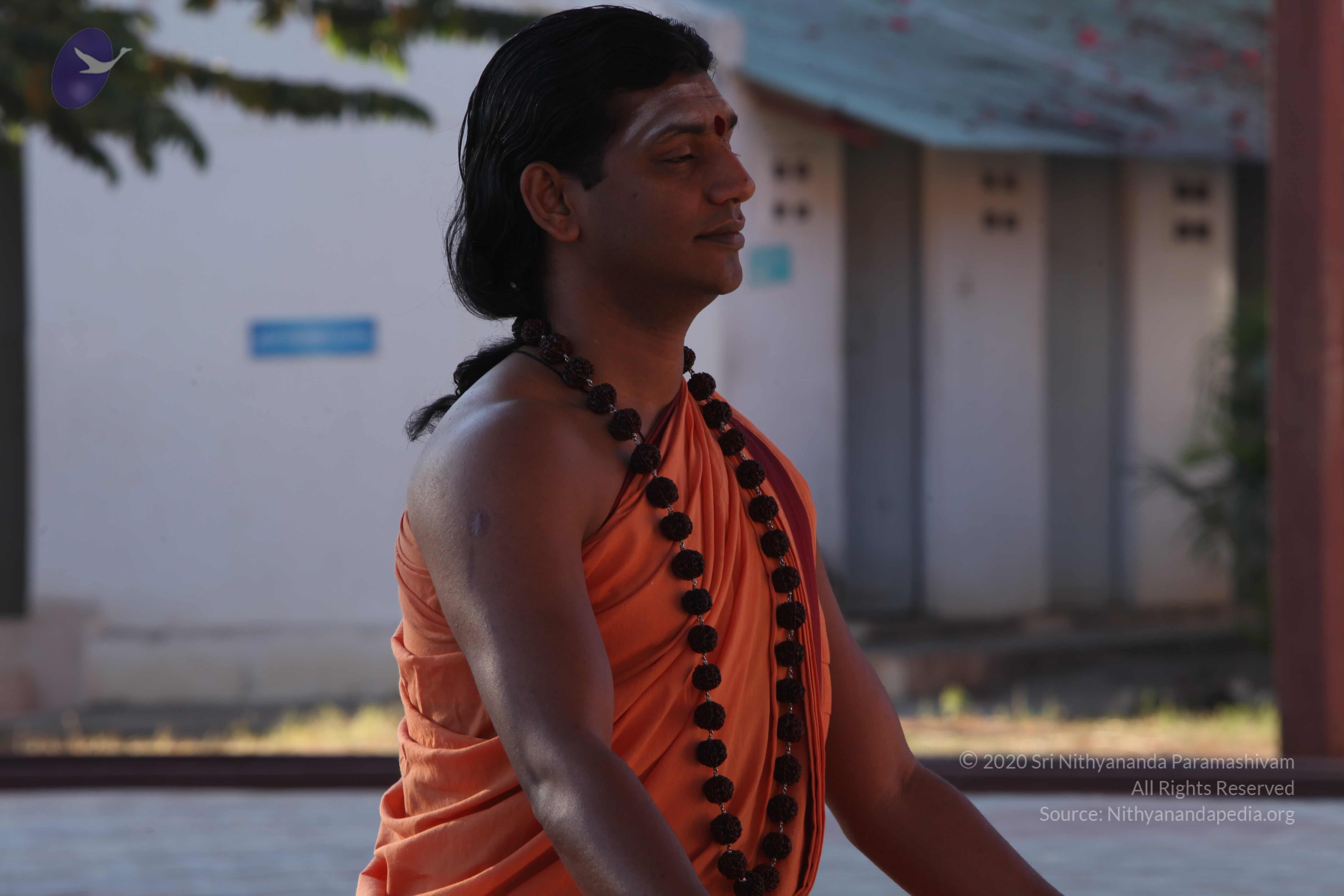 20110305_Photo_1023_IMG_7323_CMP_WM