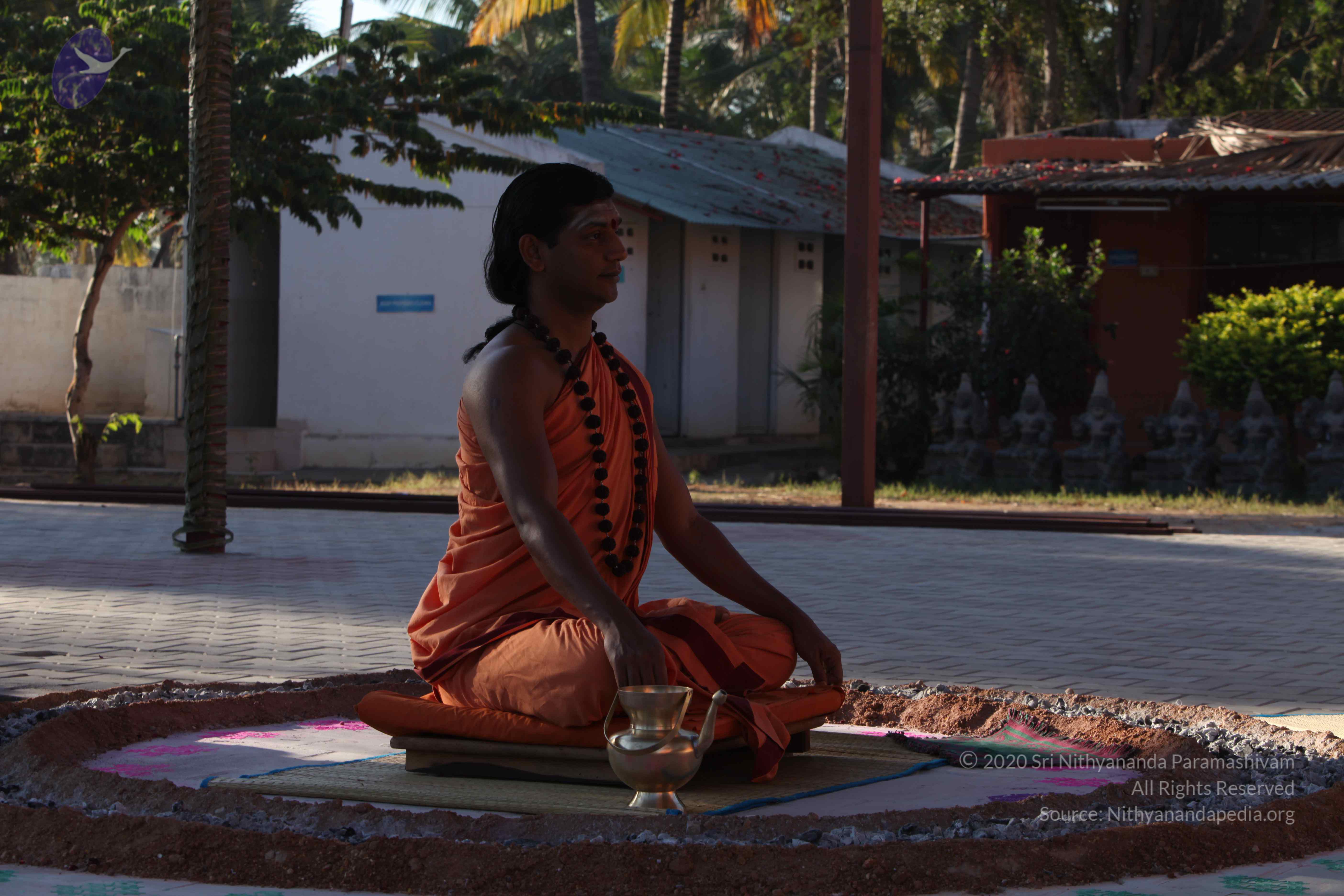 20110305_Photo_1024_IMG_7314_CMP_WM